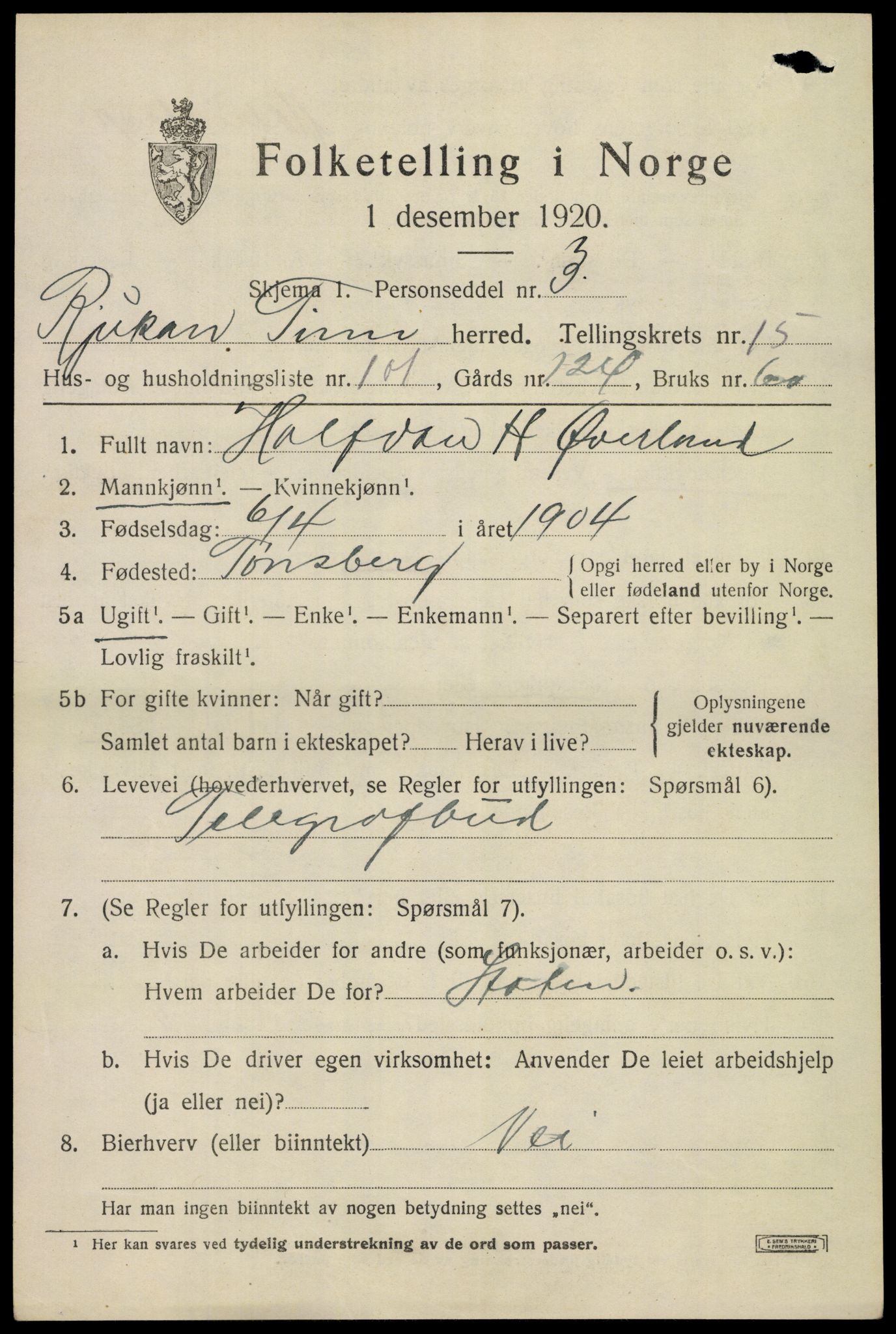 SAKO, 1920 census for Tinn, 1920, p. 15066
