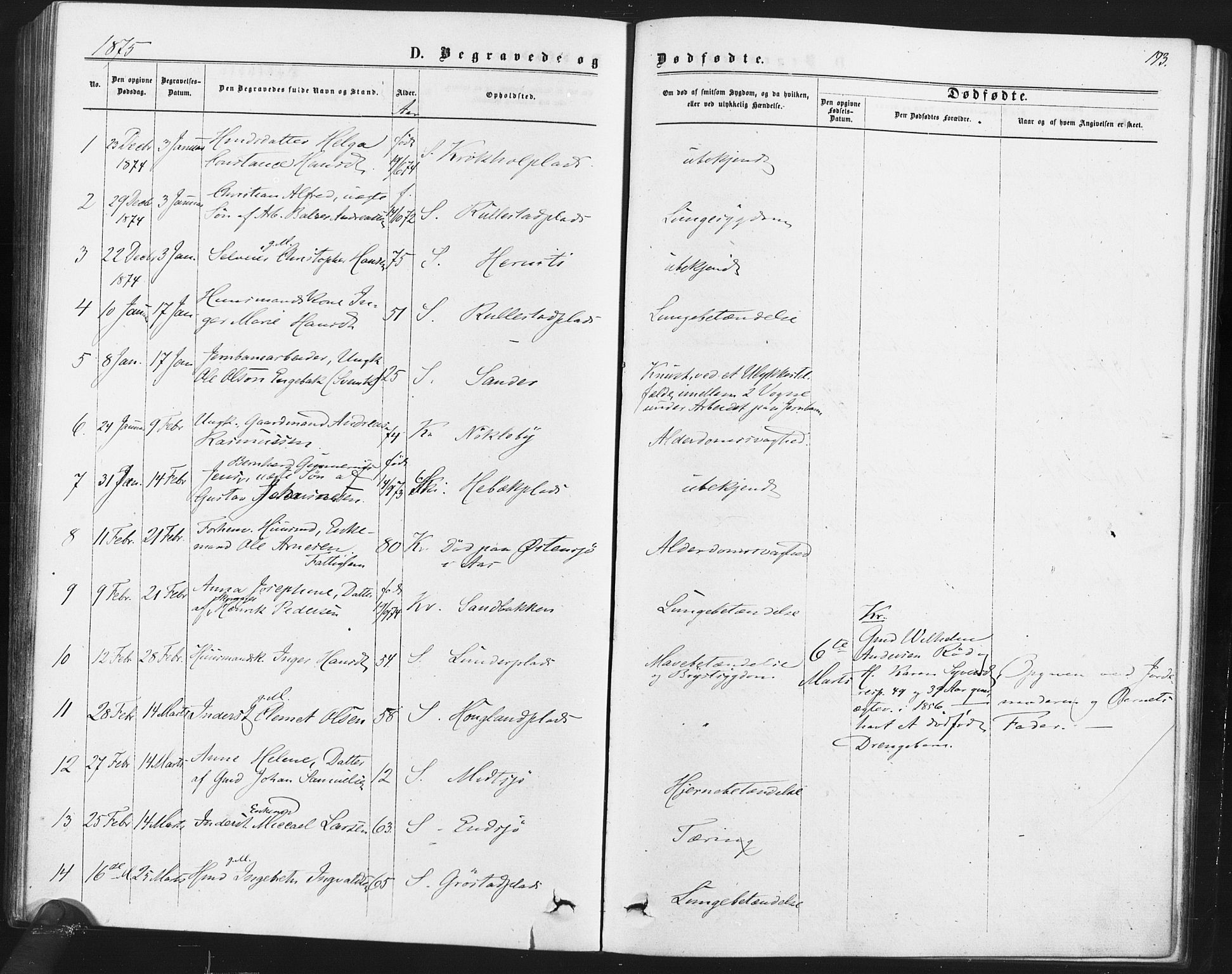 Kråkstad prestekontor Kirkebøker, AV/SAO-A-10125a/F/Fa/L0008: Parish register (official) no. I 8, 1870-1879, p. 193