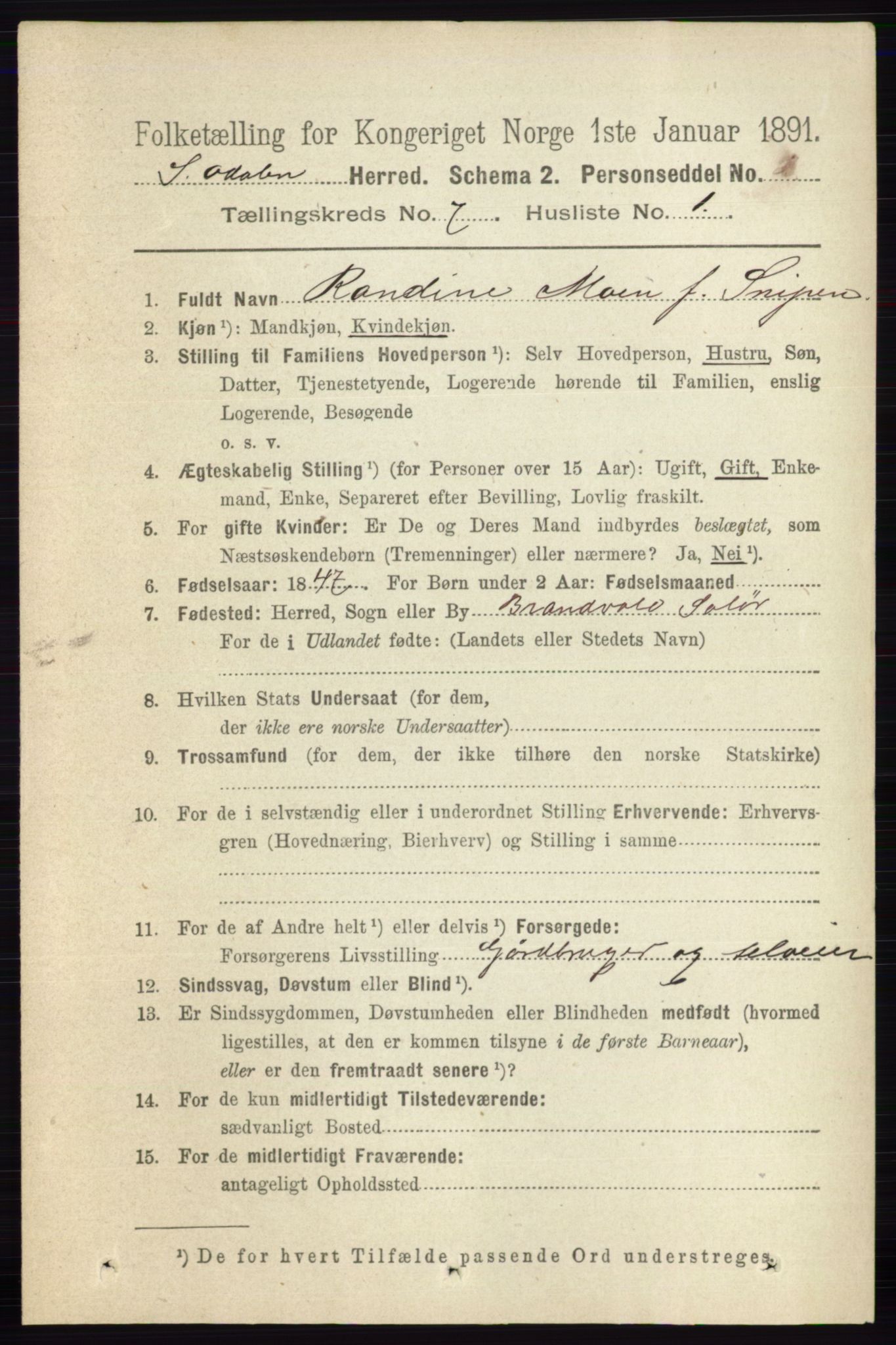 RA, 1891 census for 0419 Sør-Odal, 1891, p. 3556