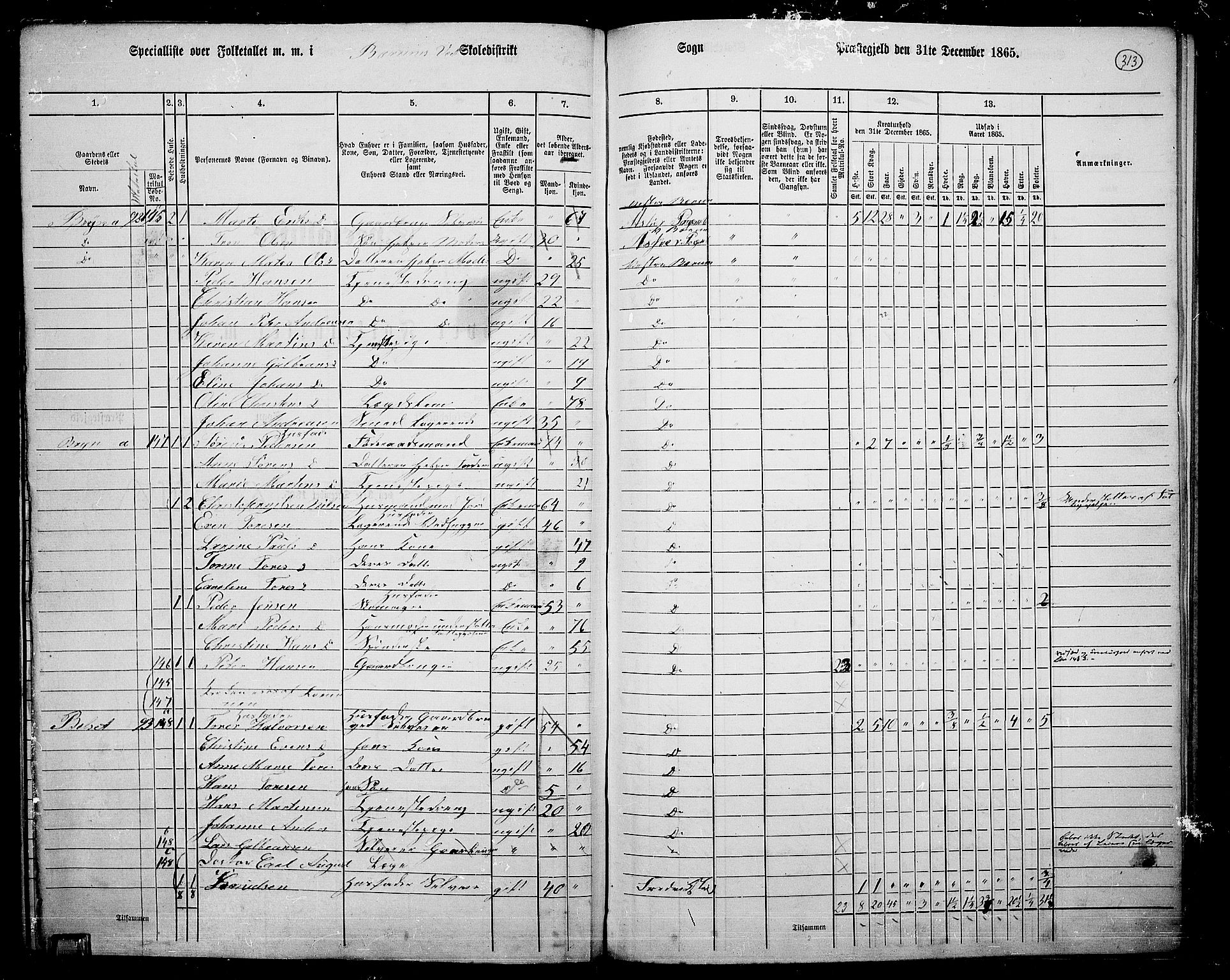 RA, 1865 census for Asker, 1865, p. 302