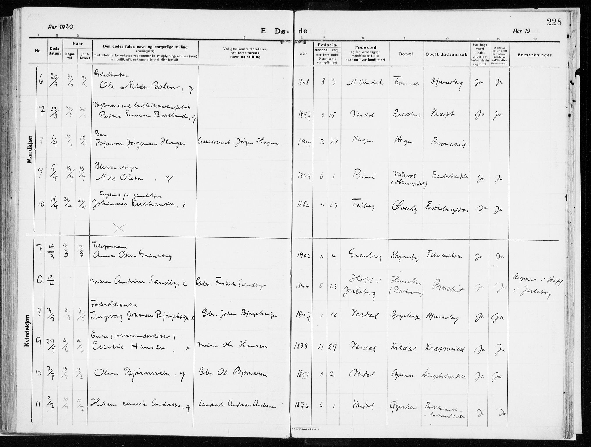Vardal prestekontor, SAH/PREST-100/H/Ha/Haa/L0017: Parish register (official) no. 17, 1915-1929, p. 228