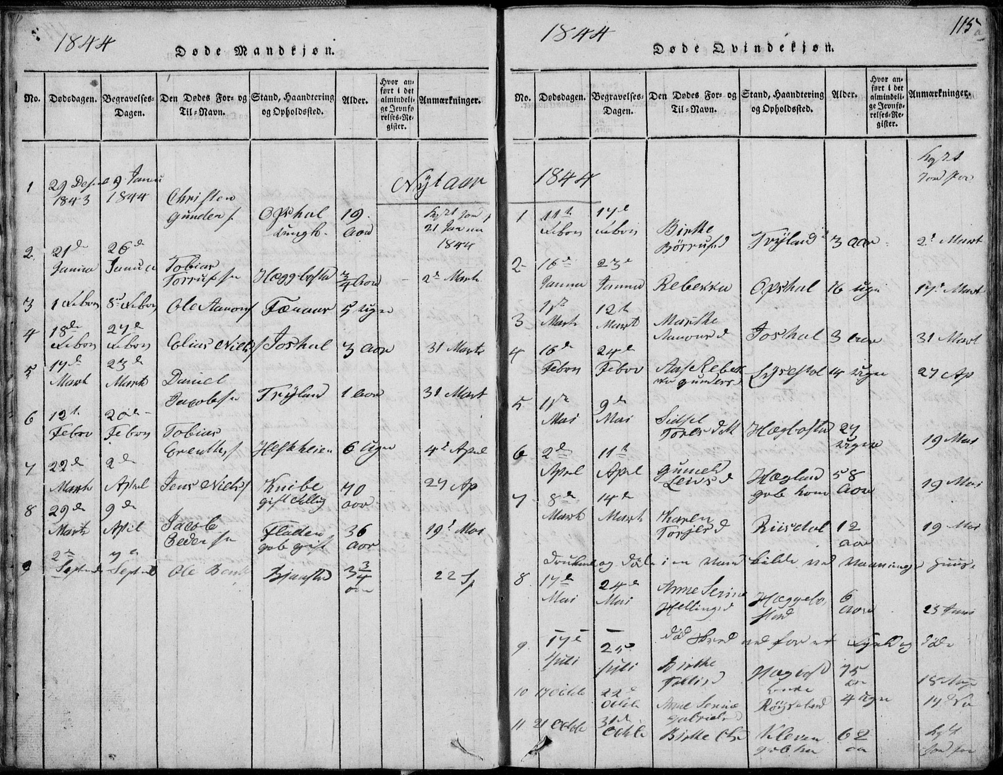 Nord-Audnedal sokneprestkontor, AV/SAK-1111-0032/F/Fb/Fbb/L0001: Parish register (copy) no. B 1, 1816-1858, p. 115