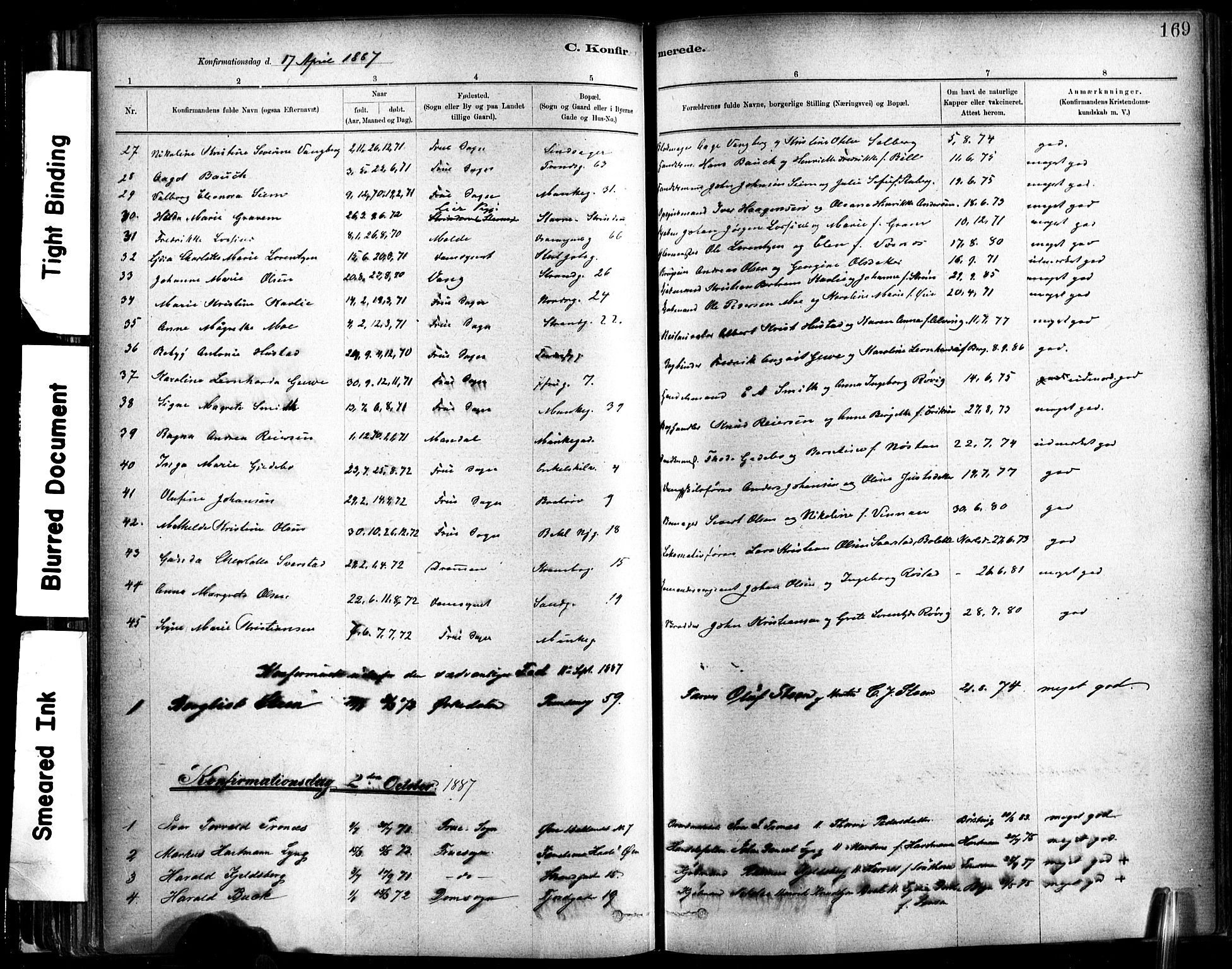 Ministerialprotokoller, klokkerbøker og fødselsregistre - Sør-Trøndelag, AV/SAT-A-1456/602/L0119: Parish register (official) no. 602A17, 1880-1901, p. 169