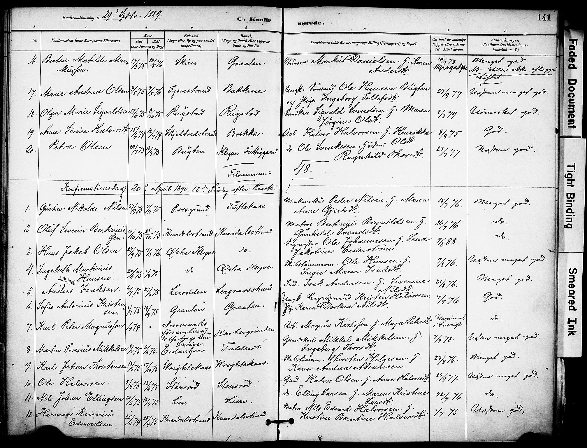 Solum kirkebøker, SAKO/A-306/F/Fa/L0010: Parish register (official) no. I 10, 1888-1898, p. 141