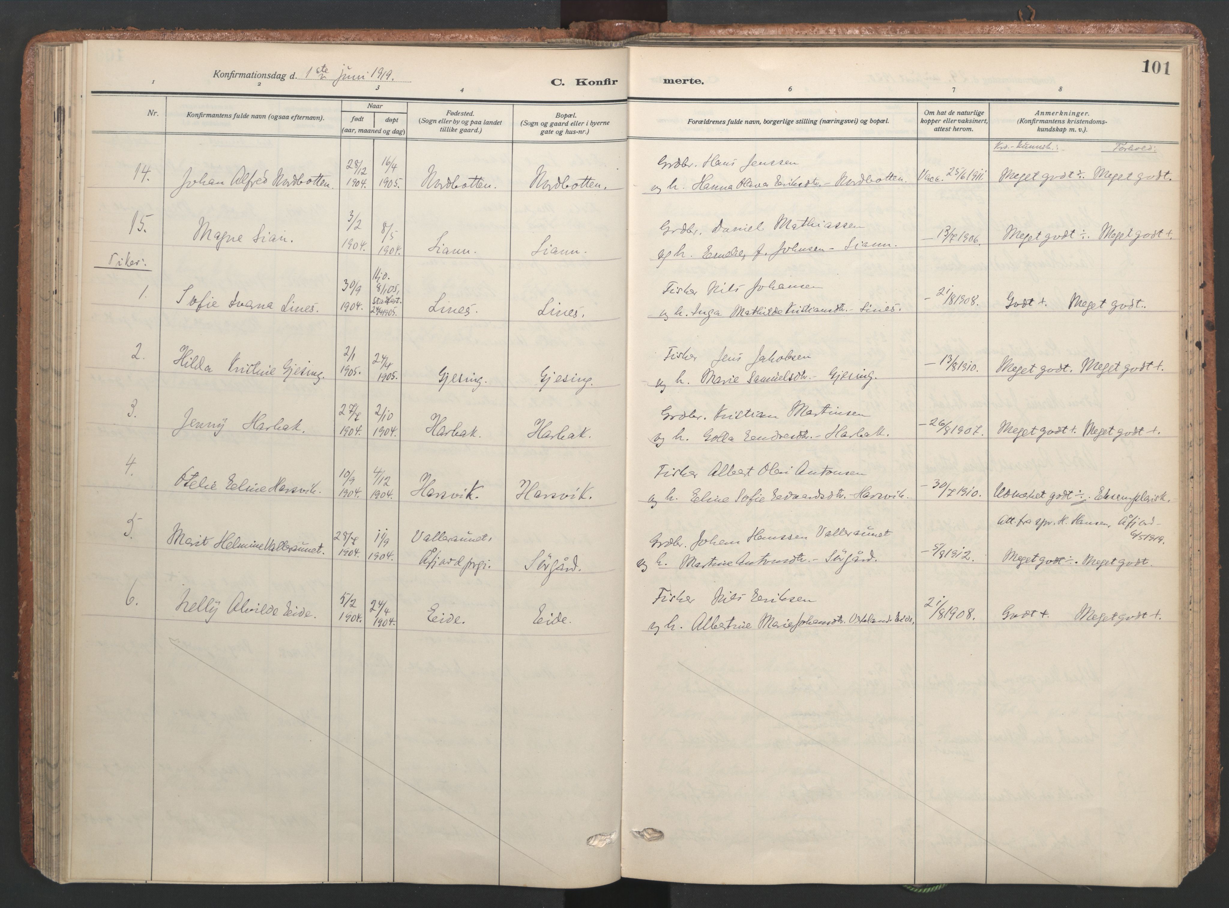 Ministerialprotokoller, klokkerbøker og fødselsregistre - Sør-Trøndelag, SAT/A-1456/656/L0694: Parish register (official) no. 656A03, 1914-1931, p. 101