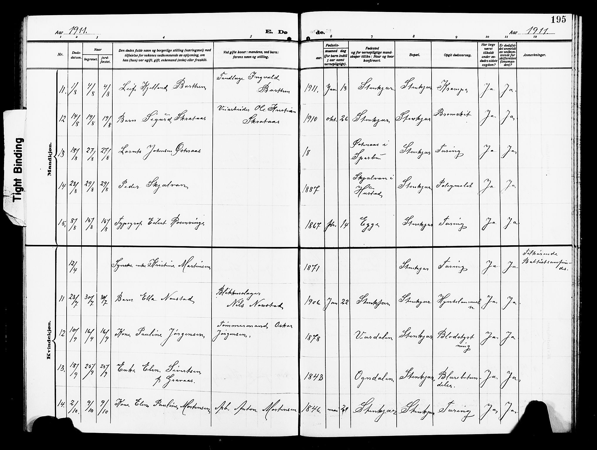 Ministerialprotokoller, klokkerbøker og fødselsregistre - Nord-Trøndelag, AV/SAT-A-1458/739/L0376: Parish register (copy) no. 739C04, 1908-1917, p. 195