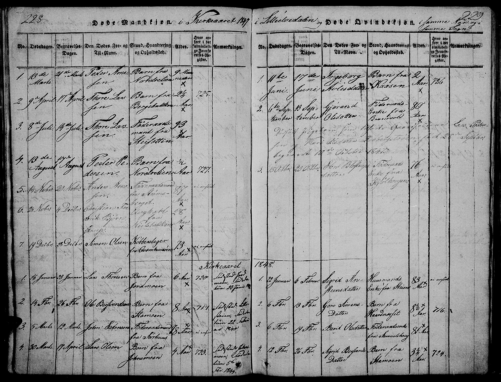 Tynset prestekontor, SAH/PREST-058/H/Ha/Hab/L0002: Parish register (copy) no. 2, 1814-1862, p. 228-229