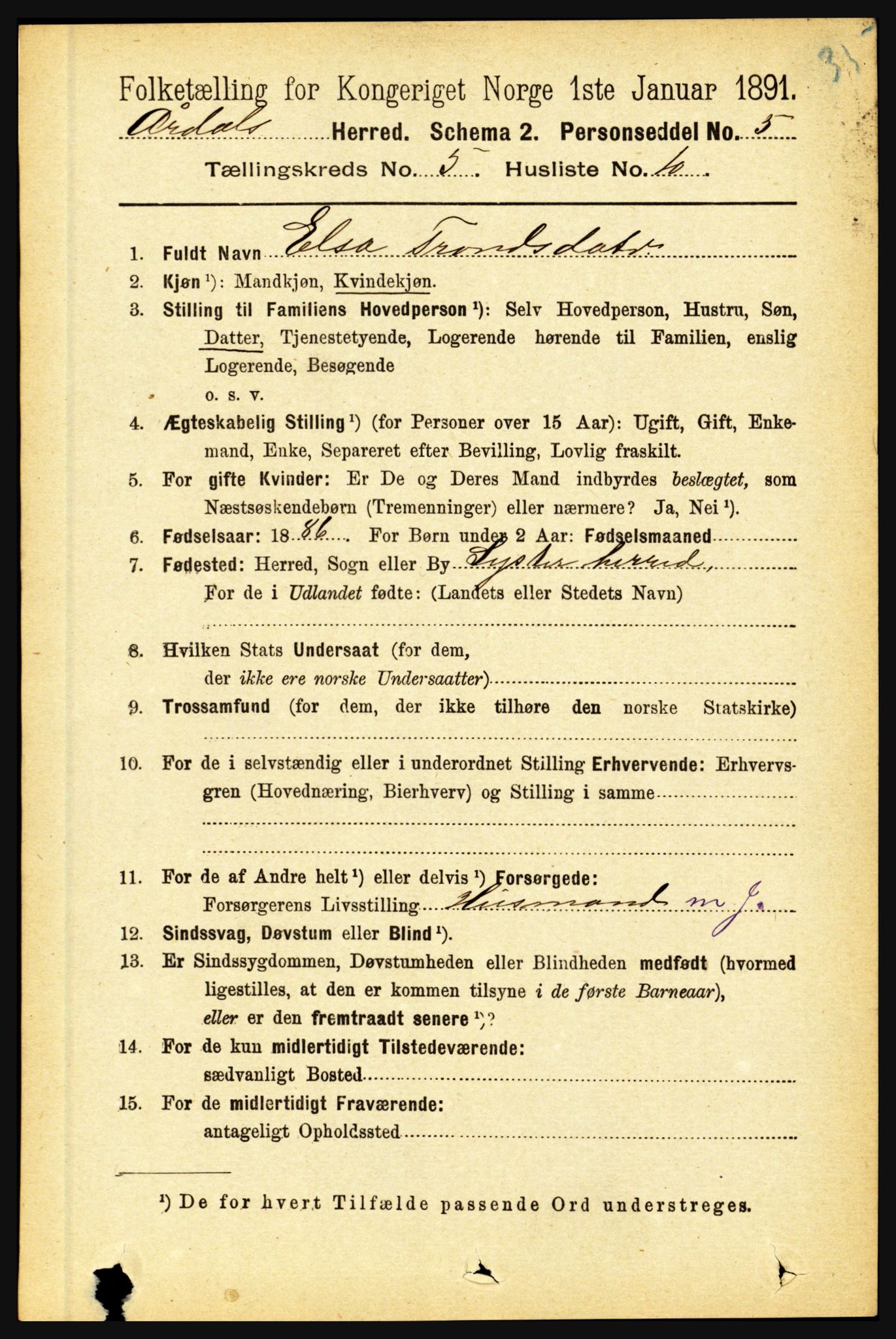 RA, 1891 census for 1424 Årdal, 1891, p. 1043