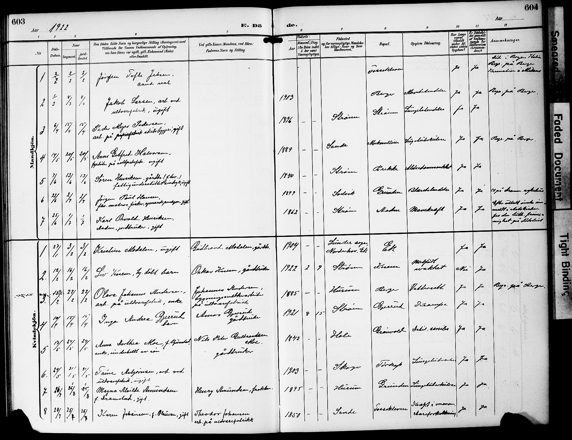 Strømm kirkebøker, AV/SAKO-A-322/G/Ga/L0004: Parish register (copy) no. I 4, 1897-1927, p. 603-604