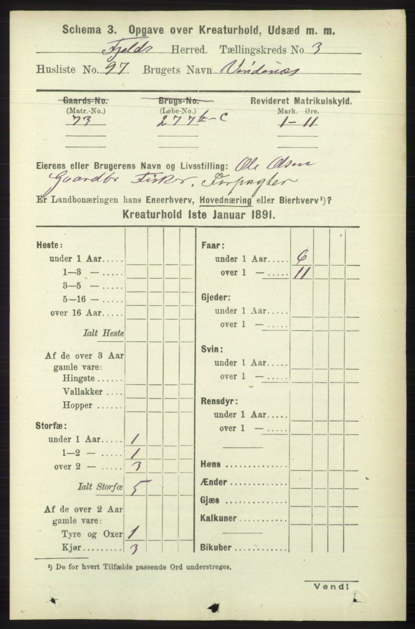 RA, 1891 census for 1246 Fjell, 1891, p. 4363