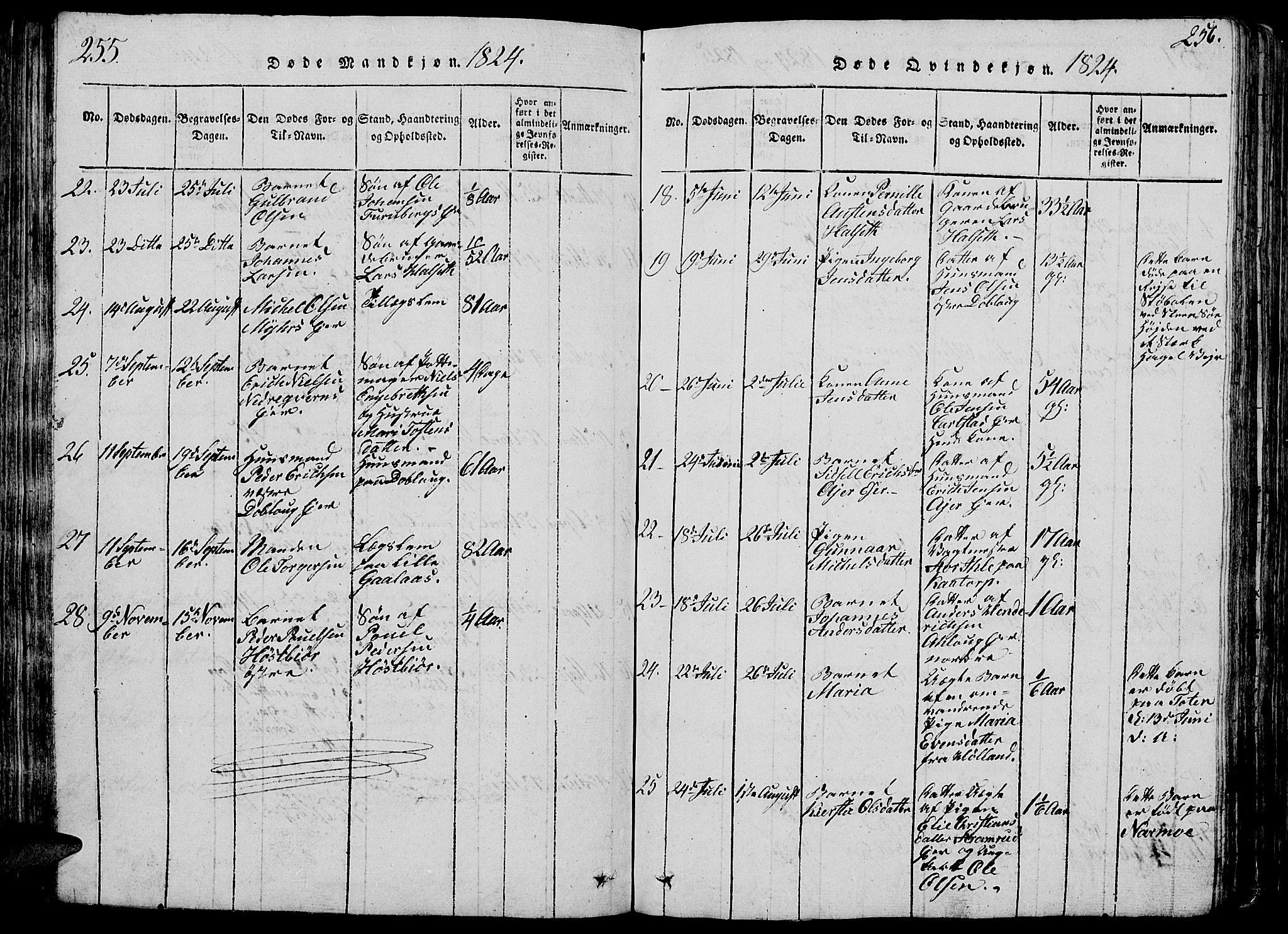 Vang prestekontor, Hedmark, AV/SAH-PREST-008/H/Ha/Hab/L0005: Parish register (copy) no. 5, 1815-1836, p. 255-256