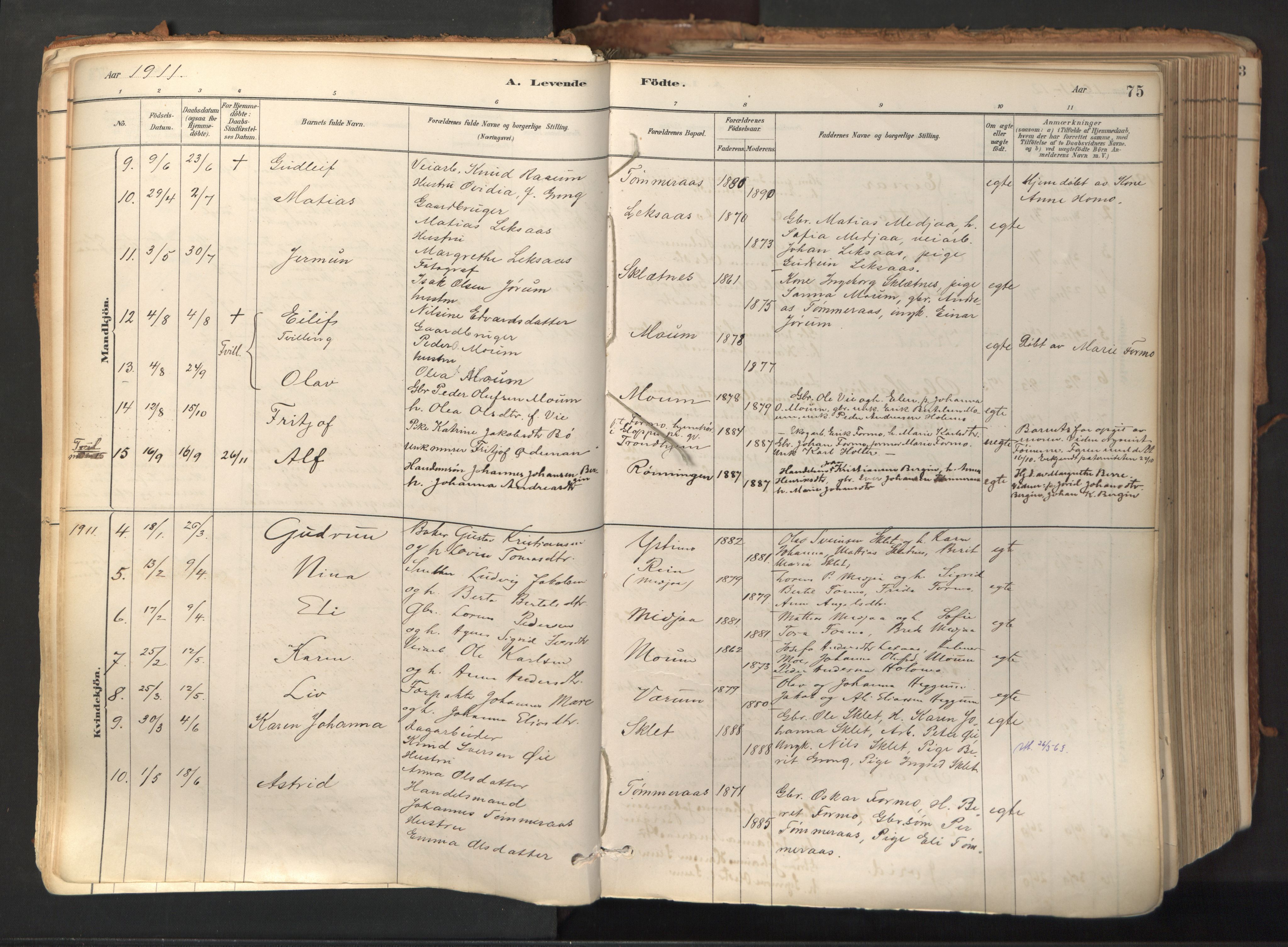 Ministerialprotokoller, klokkerbøker og fødselsregistre - Nord-Trøndelag, SAT/A-1458/758/L0519: Parish register (official) no. 758A04, 1880-1926, p. 75