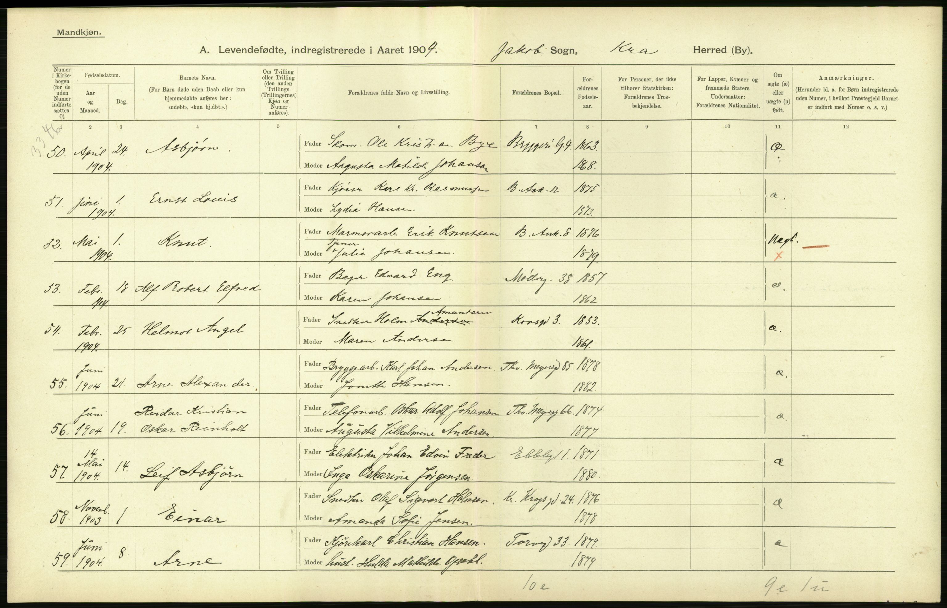 Statistisk sentralbyrå, Sosiodemografiske emner, Befolkning, AV/RA-S-2228/D/Df/Dfa/Dfab/L0003: Kristiania: Fødte, 1904, p. 20