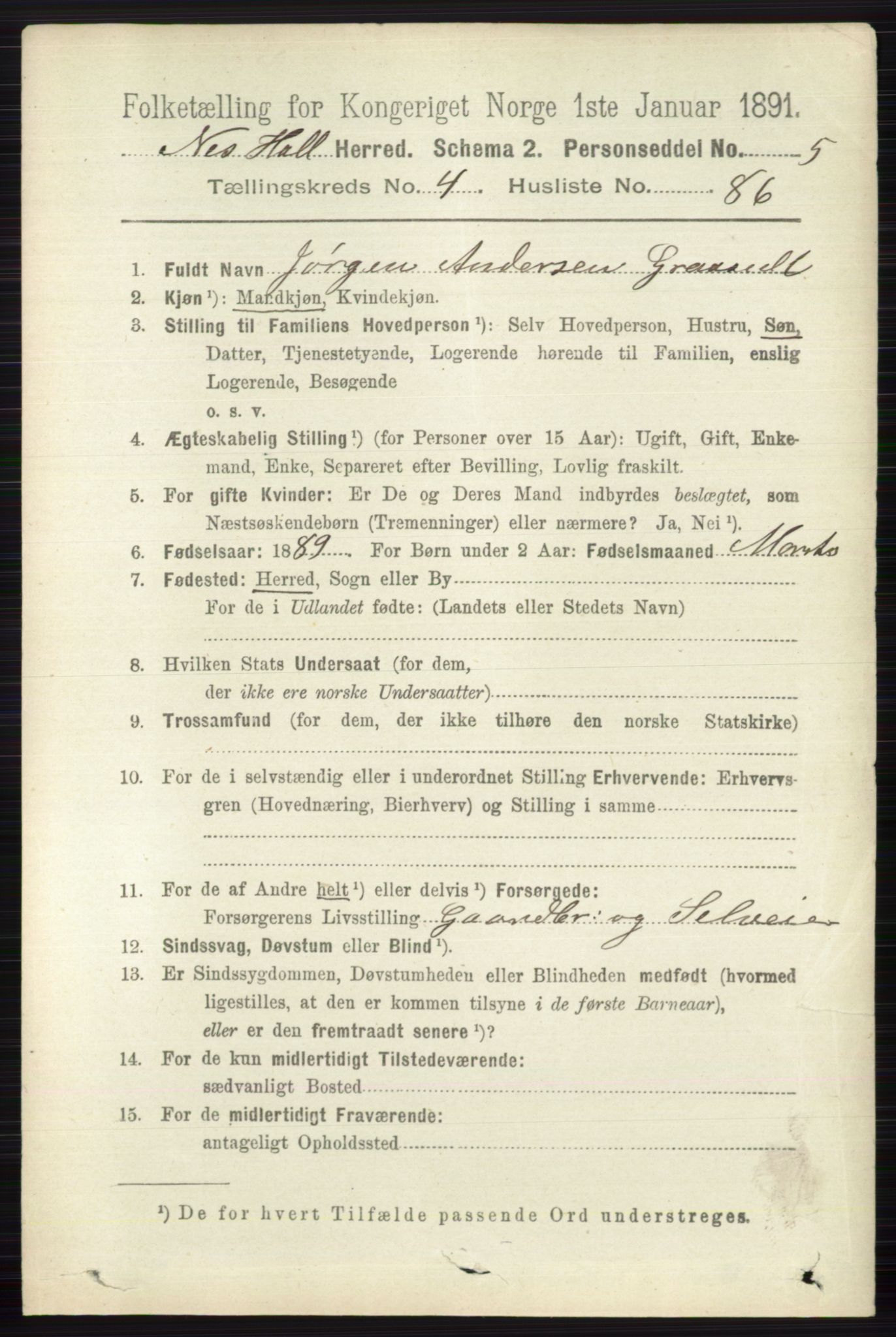 RA, 1891 census for 0616 Nes, 1891, p. 2571