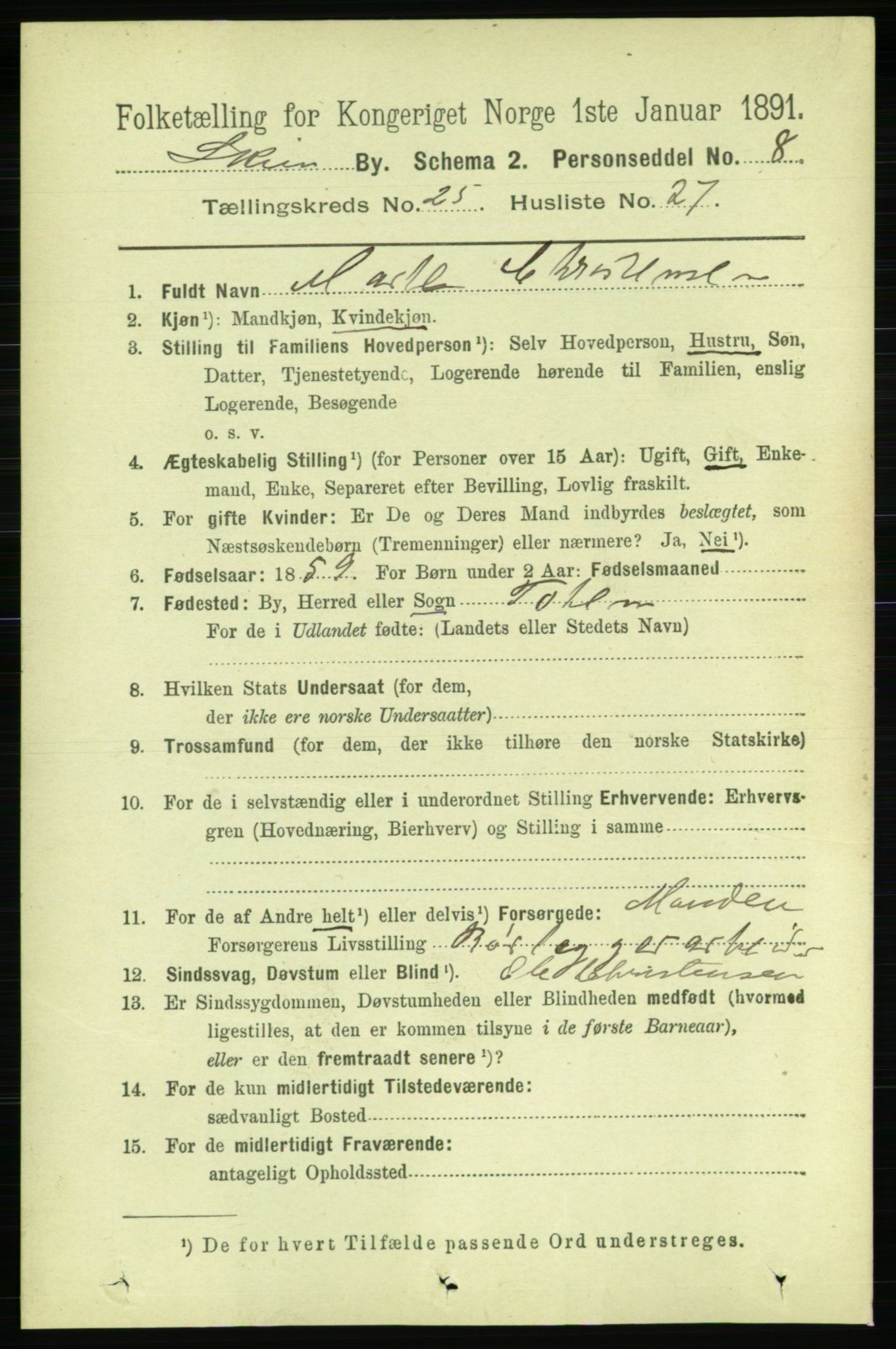 RA, 1891 census for 0806 Skien, 1891, p. 6242