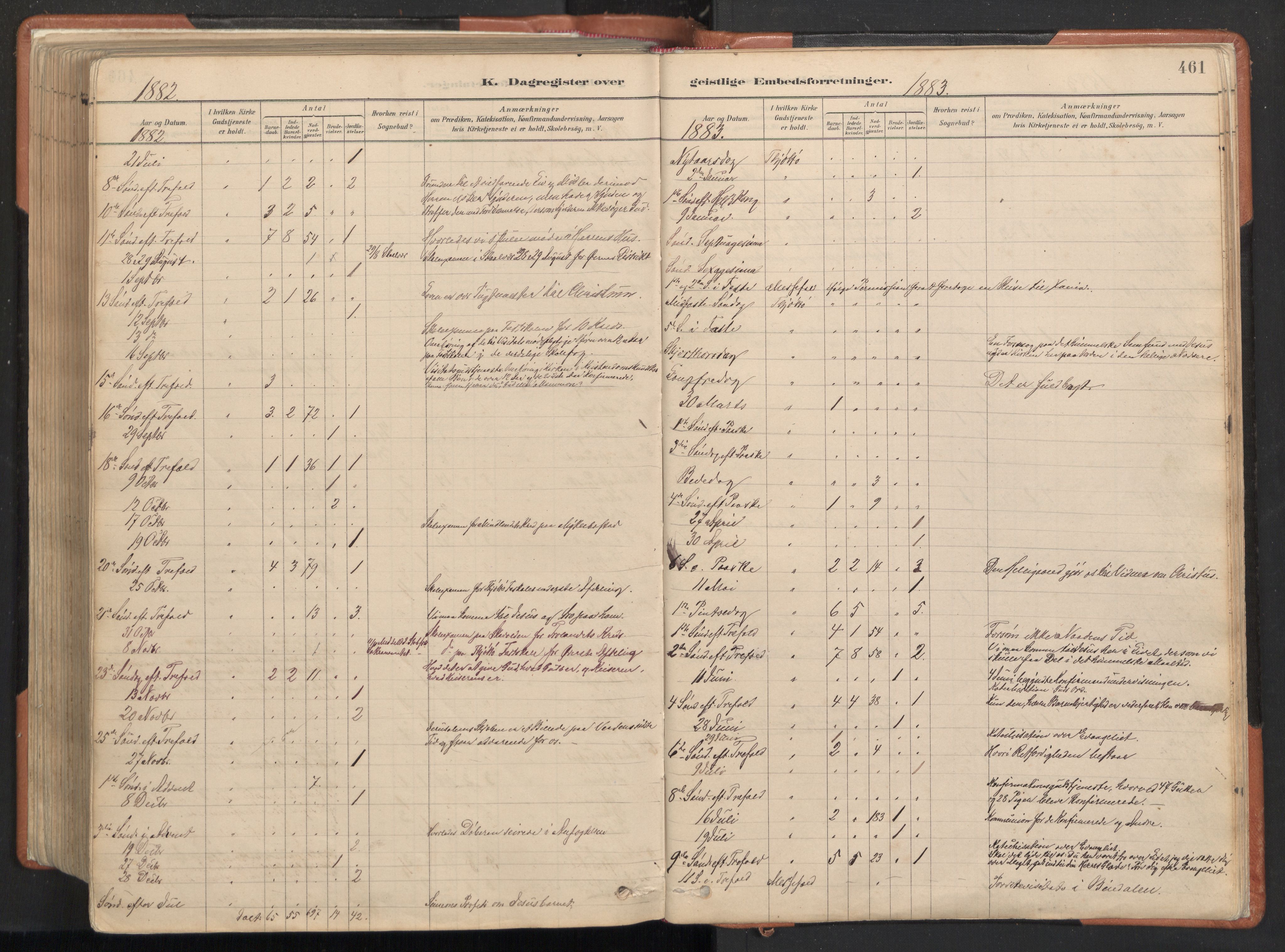 Ministerialprotokoller, klokkerbøker og fødselsregistre - Nordland, AV/SAT-A-1459/817/L0264: Parish register (official) no. 817A04, 1878-1907, p. 461