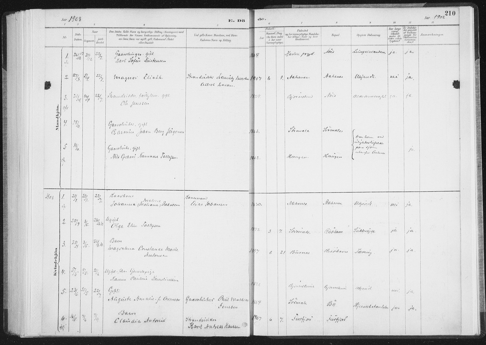 Ministerialprotokoller, klokkerbøker og fødselsregistre - Nordland, SAT/A-1459/898/L1422: Parish register (official) no. 898A02, 1887-1908, p. 210