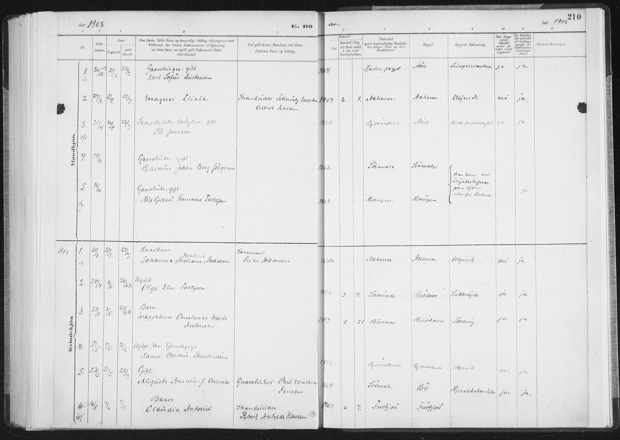 Ministerialprotokoller, klokkerbøker og fødselsregistre - Nordland, AV/SAT-A-1459/898/L1422: Parish register (official) no. 898A02, 1887-1908, p. 210