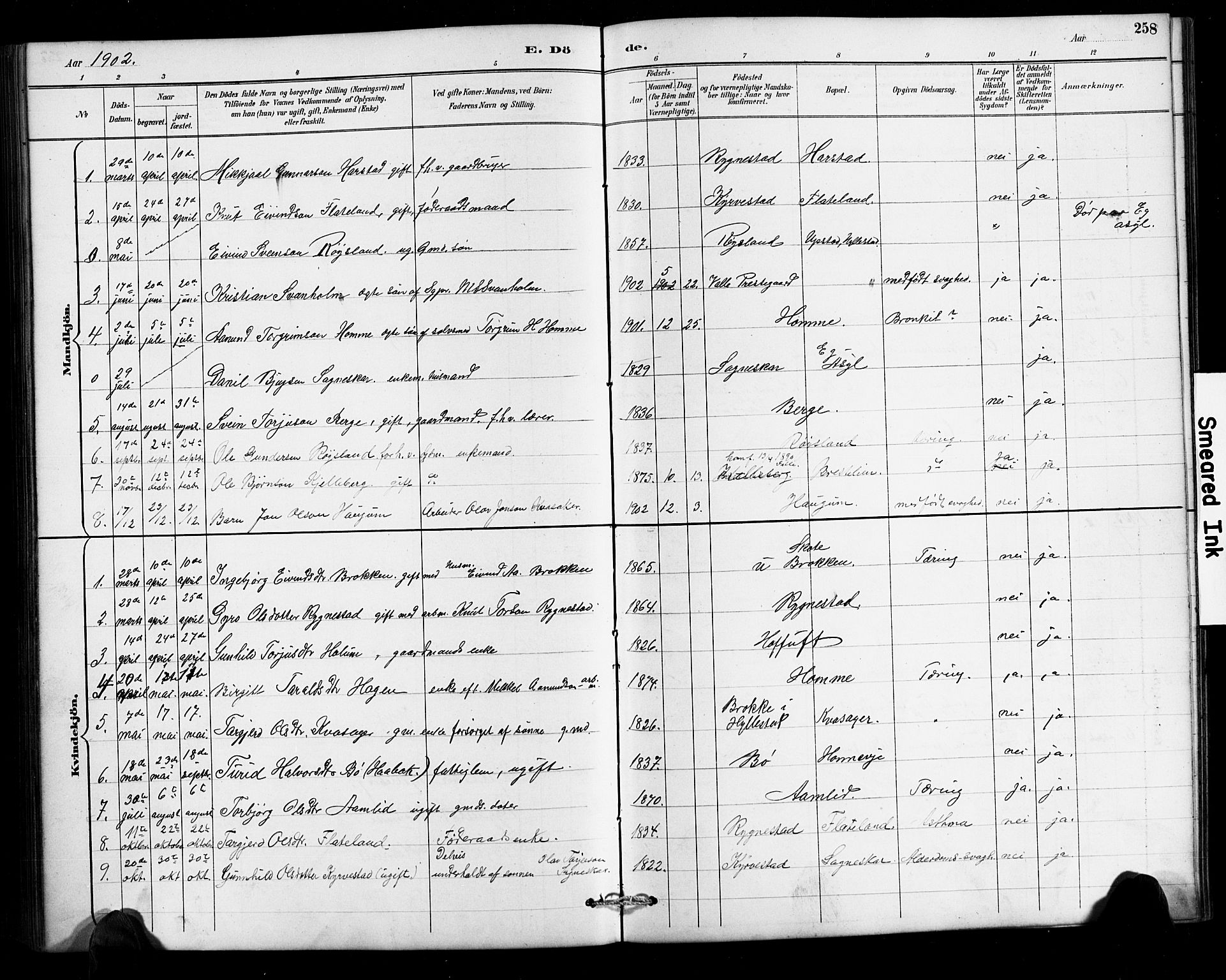 Valle sokneprestkontor, SAK/1111-0044/F/Fb/Fbc/L0004: Parish register (copy) no. B 4, 1890-1928, p. 258