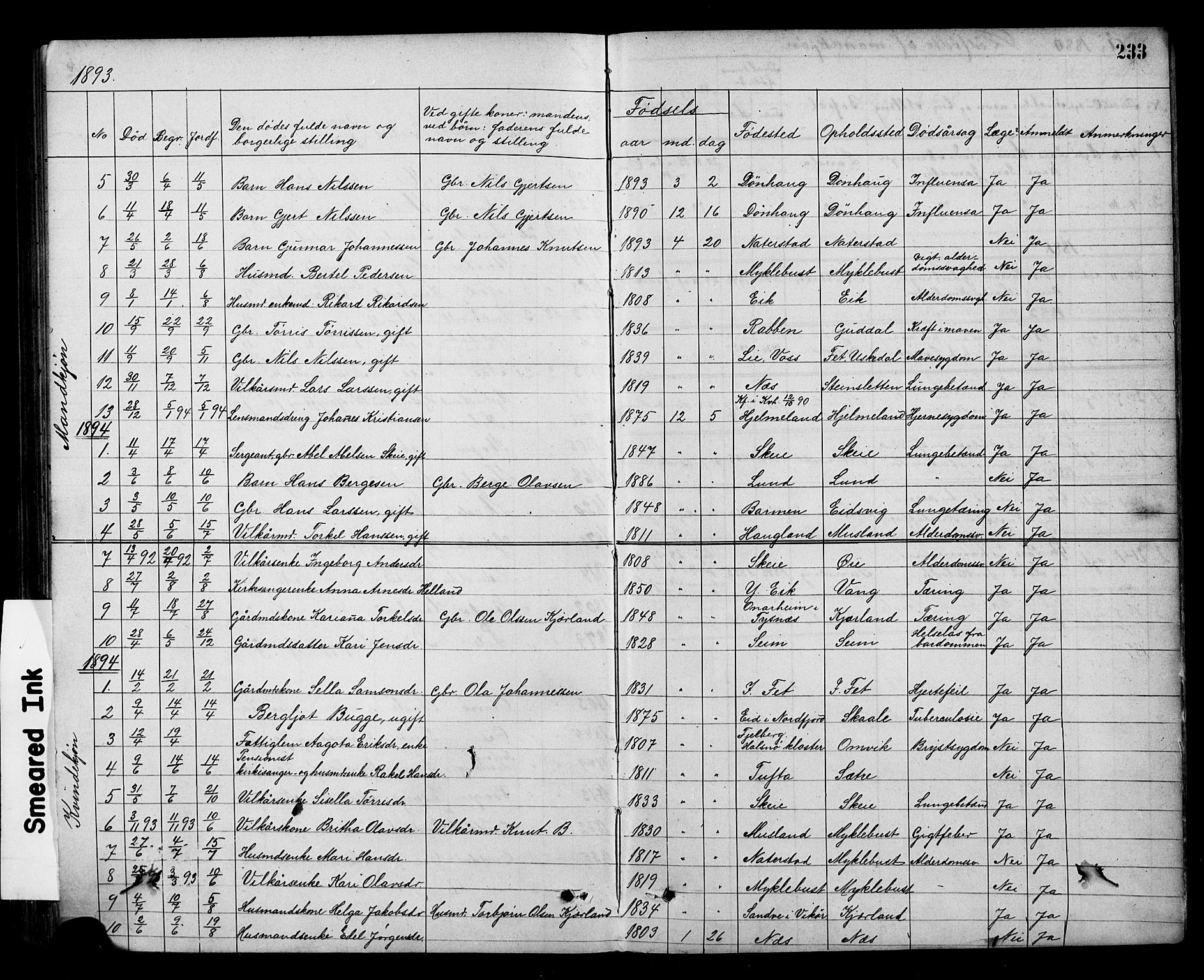 Kvinnherad sokneprestembete, SAB/A-76401/H/Hab: Parish register (copy) no. A 2, 1873-1900, p. 233