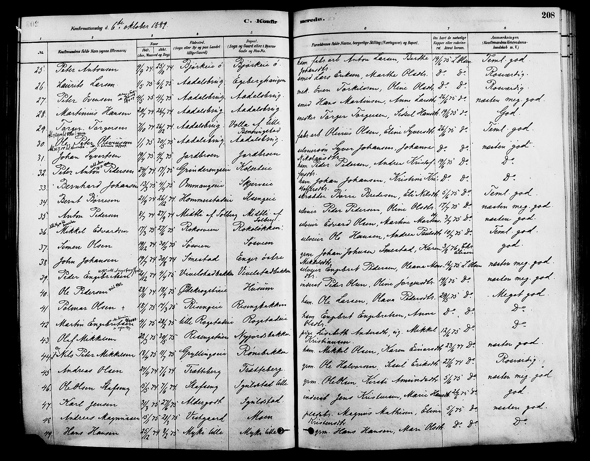 Løten prestekontor, AV/SAH-PREST-022/K/Ka/L0009: Parish register (official) no. 9, 1878-1891, p. 208