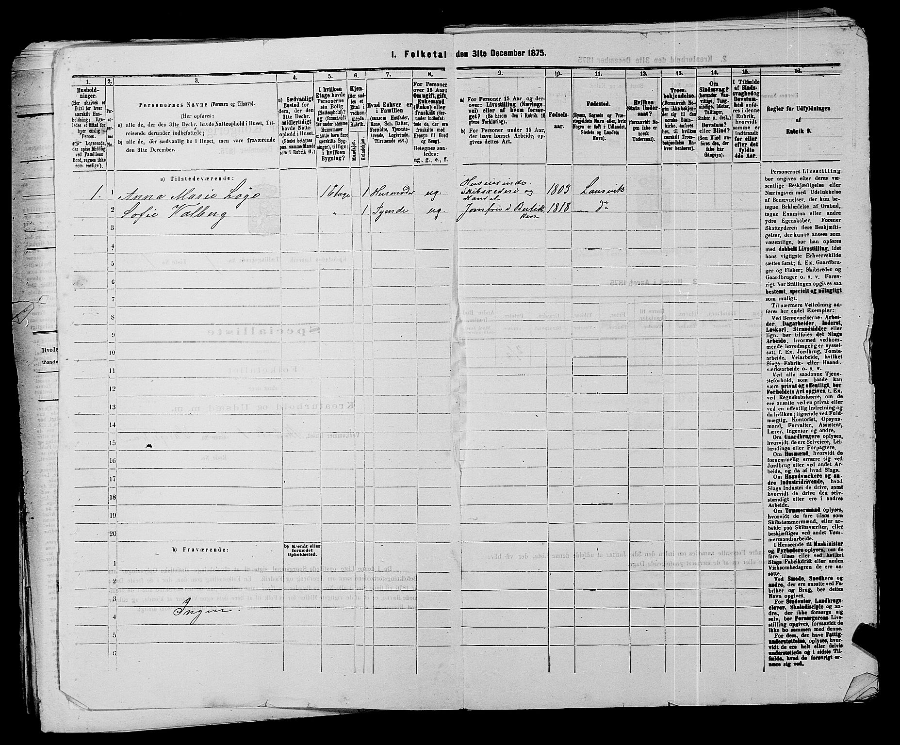 SAKO, 1875 census for 0707P Larvik, 1875, p. 1428