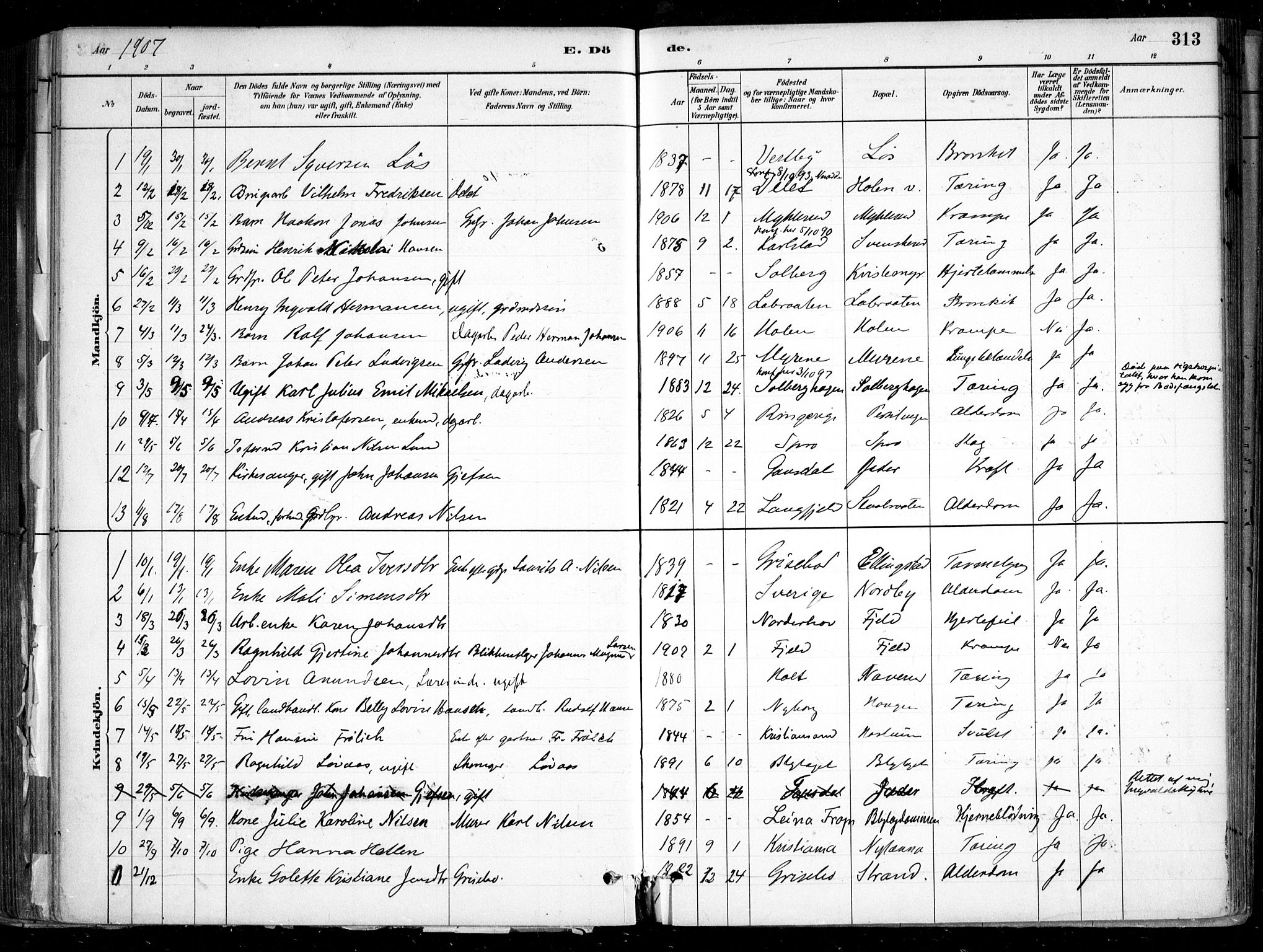 Nesodden prestekontor Kirkebøker, SAO/A-10013/F/Fa/L0009: Parish register (official) no. I 9, 1880-1915, p. 313