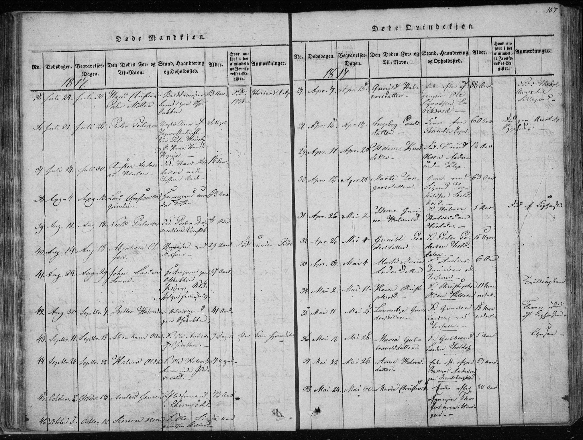 Gjerpen kirkebøker, SAKO/A-265/F/Fa/L0004: Parish register (official) no. I 4, 1814-1823, p. 107