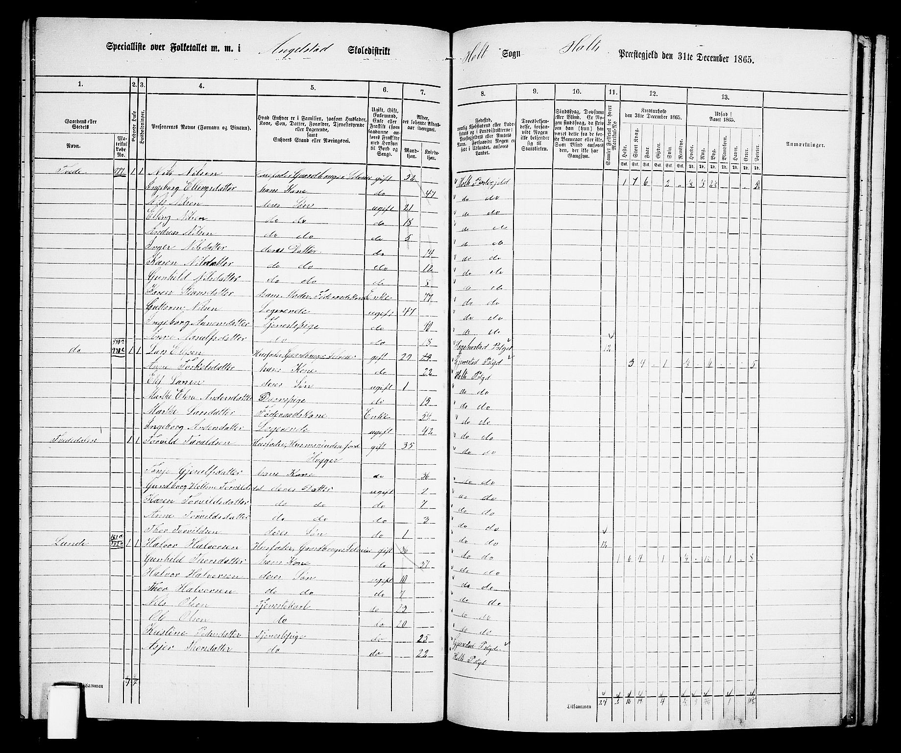 RA, 1865 census for Holt/Holt, 1865, p. 160