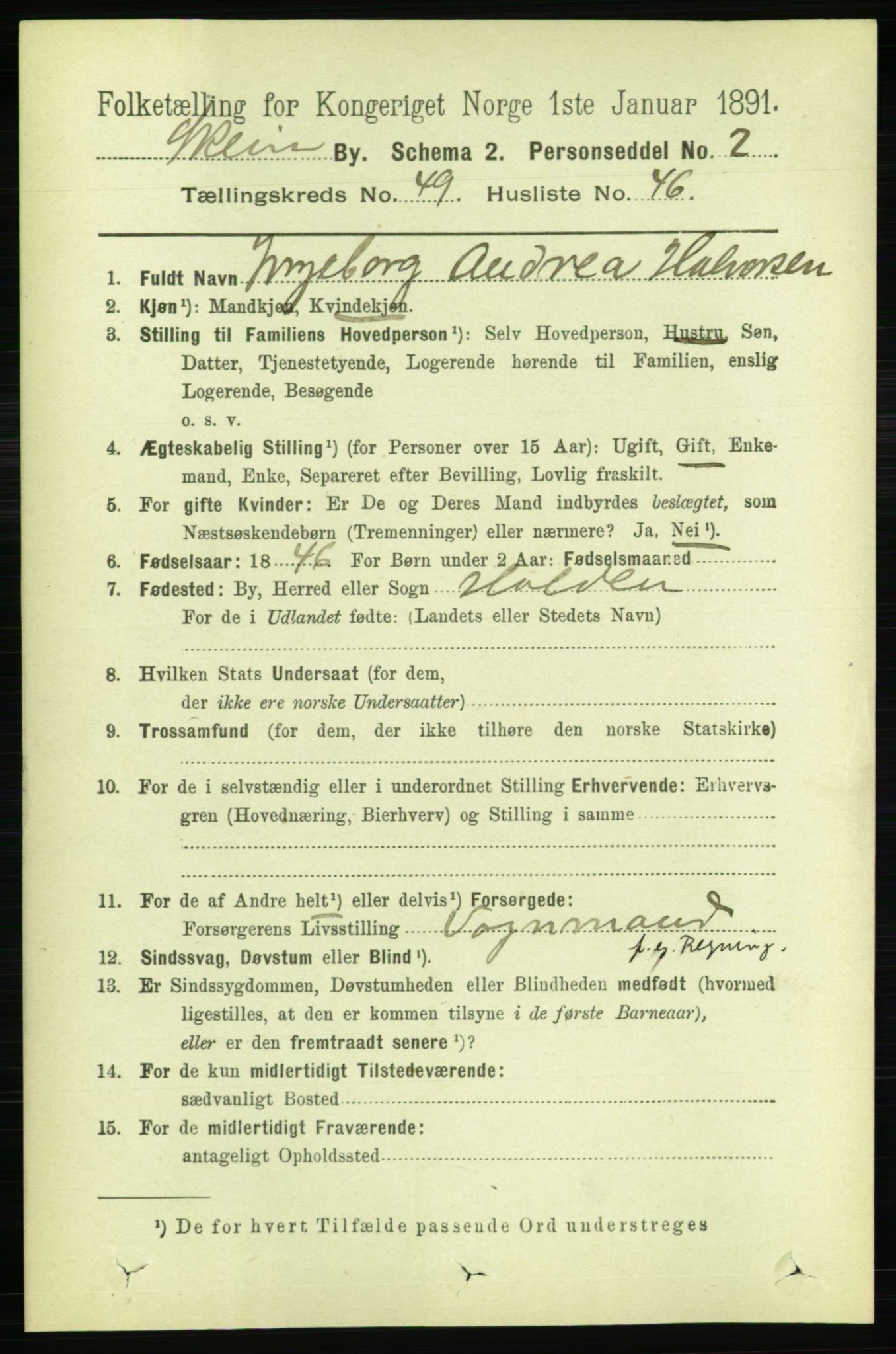 RA, 1891 census for 0806 Skien, 1891, p. 10723