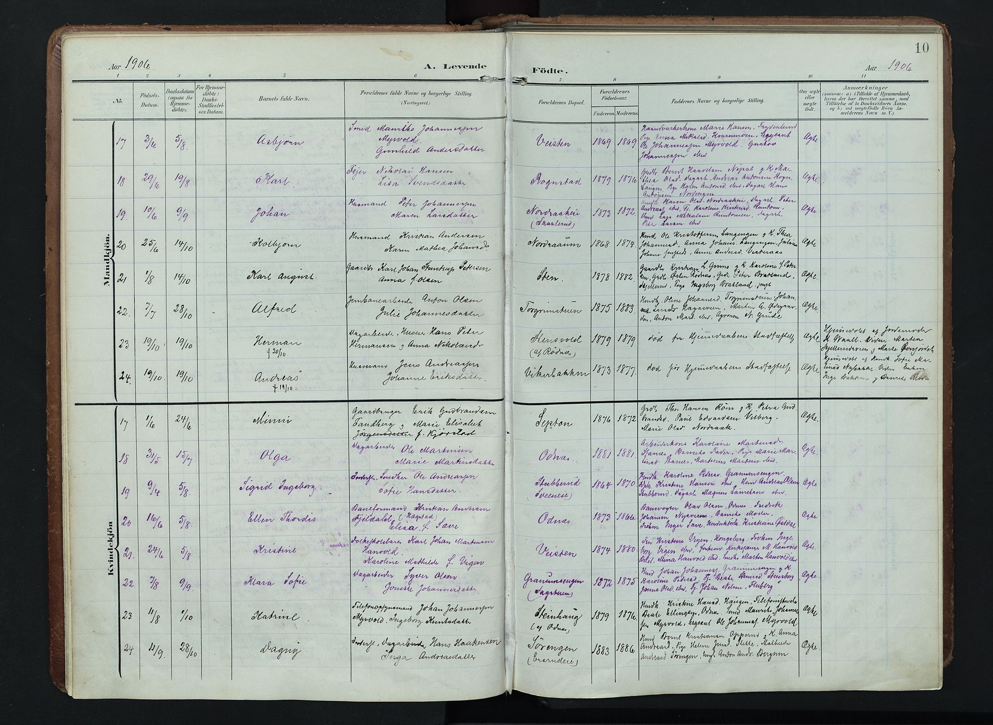 Søndre Land prestekontor, SAH/PREST-122/K/L0005: Parish register (official) no. 5, 1905-1914, p. 10