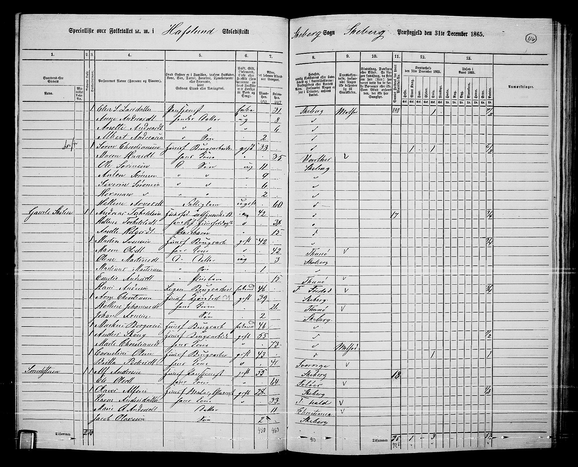 RA, 1865 census for Skjeberg, 1865, p. 109