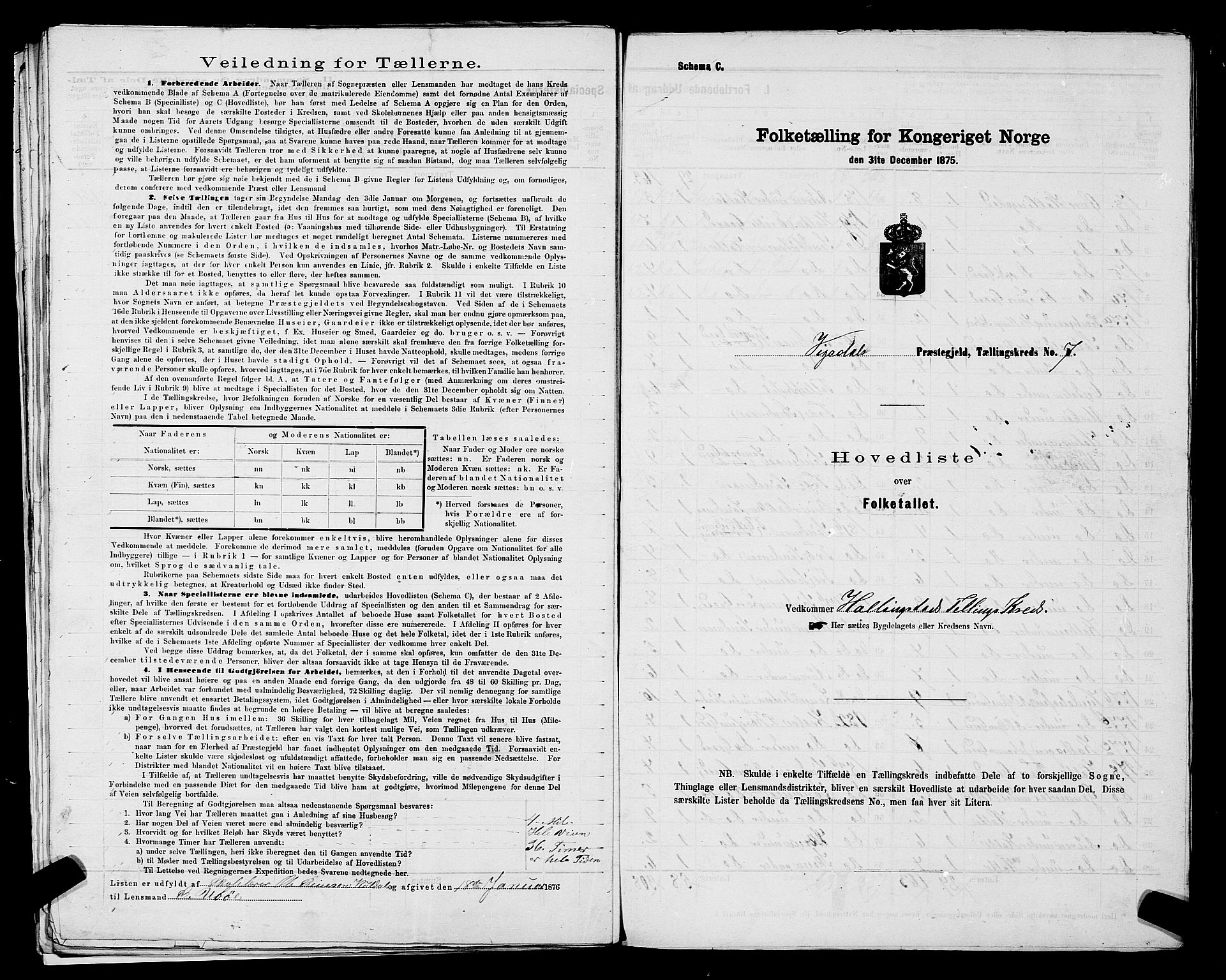 SAST, 1875 census for 1157P Vikedal, 1875, p. 20