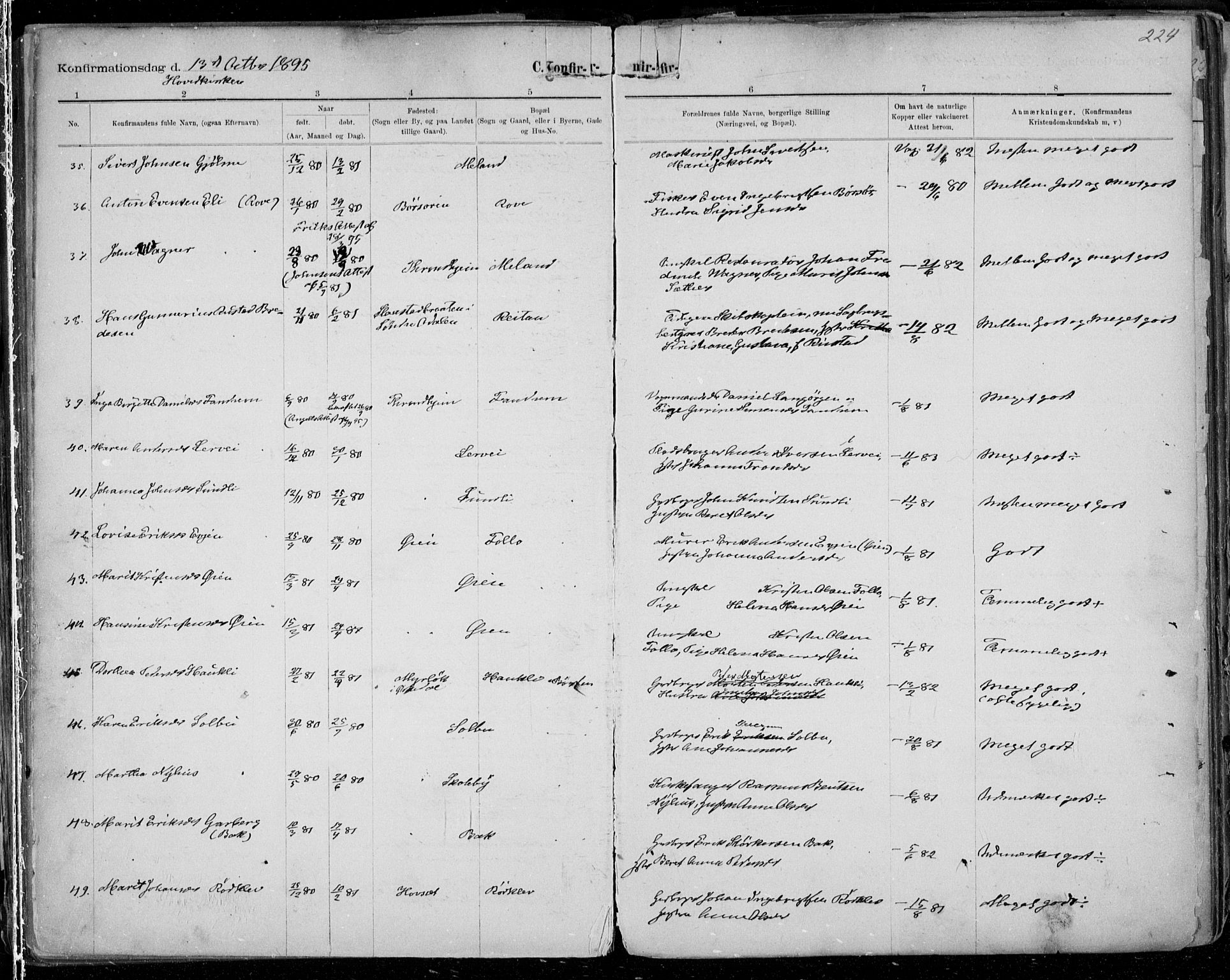 Ministerialprotokoller, klokkerbøker og fødselsregistre - Sør-Trøndelag, SAT/A-1456/668/L0811: Parish register (official) no. 668A11, 1894-1913, p. 224