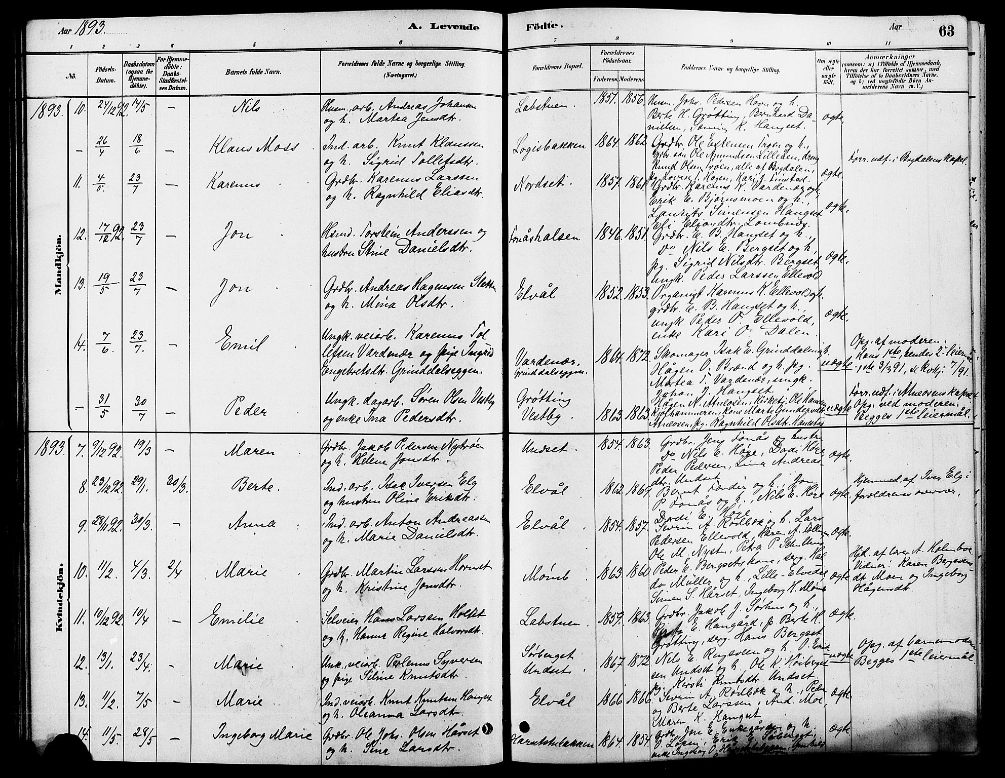 Rendalen prestekontor, SAH/PREST-054/H/Ha/Hab/L0003: Parish register (copy) no. 3, 1879-1904, p. 63