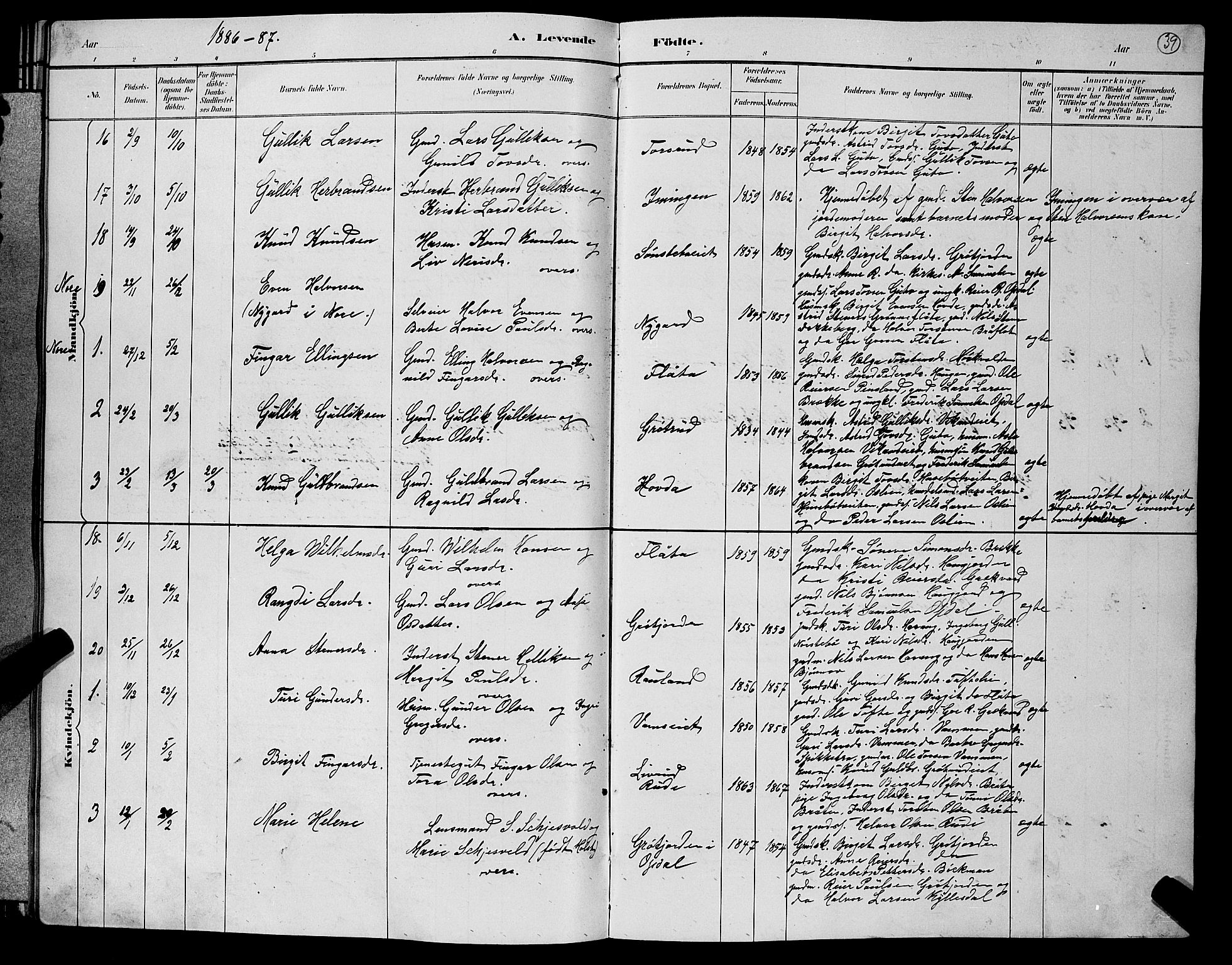 Nore kirkebøker, SAKO/A-238/G/Gb/L0002: Parish register (copy) no. II 2, 1878-1894, p. 39