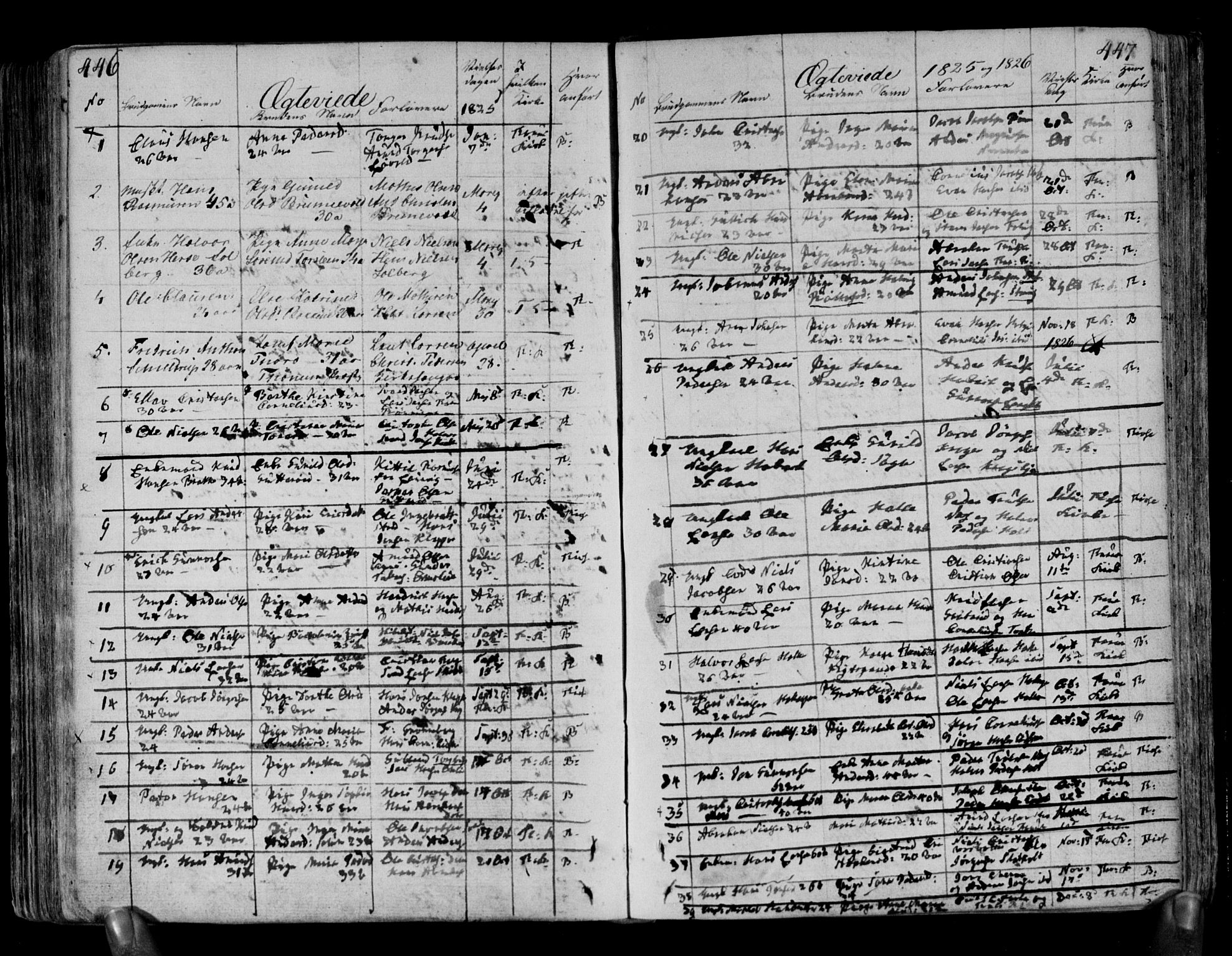 Brunlanes kirkebøker, AV/SAKO-A-342/F/Fa/L0002: Parish register (official) no. I 2, 1802-1834, p. 446-447