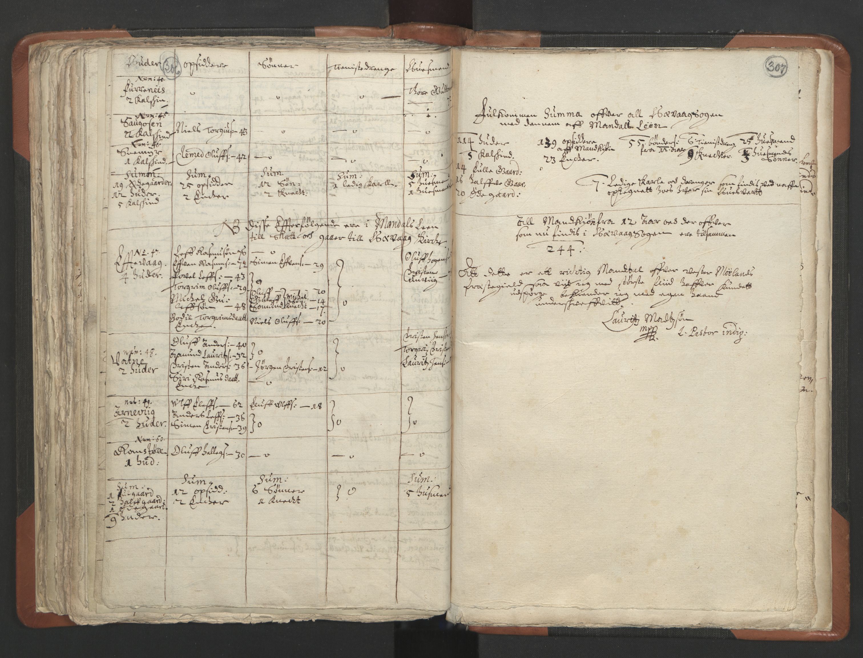 RA, Vicar's Census 1664-1666, no. 13: Nedenes deanery, 1664-1666, p. 306-307