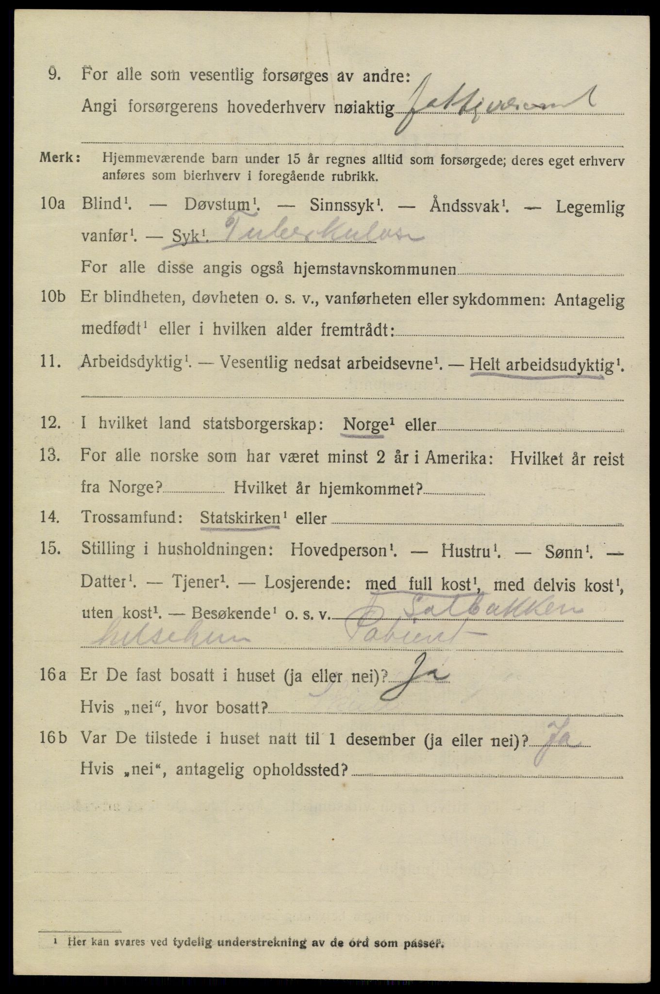 SAKO, 1920 census for Heddal, 1920, p. 2371