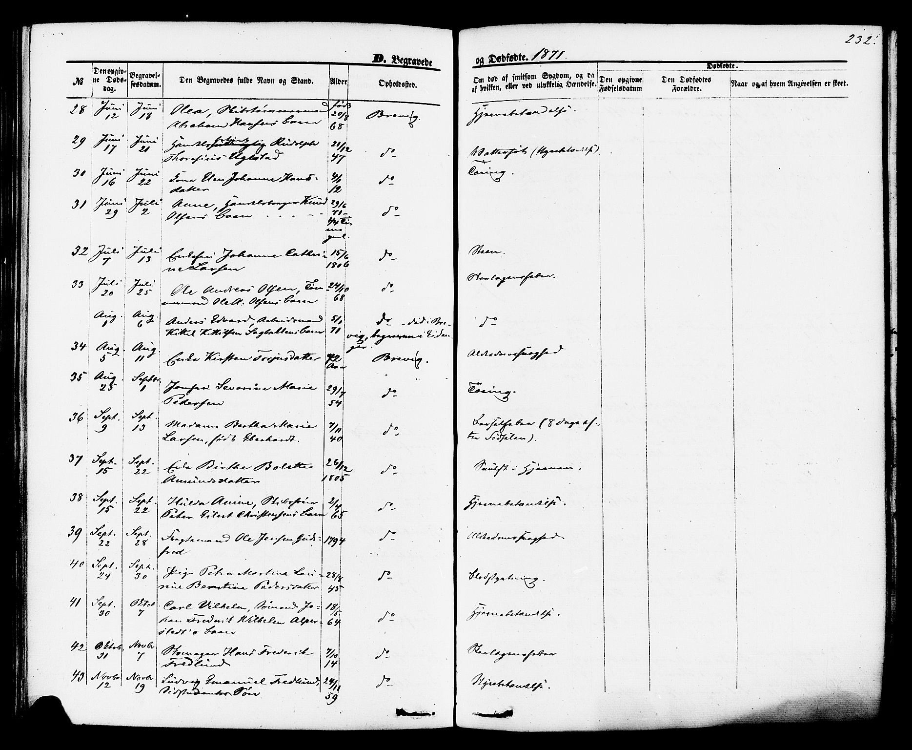 Brevik kirkebøker, SAKO/A-255/F/Fa/L0006: Parish register (official) no. 6, 1866-1881, p. 232
