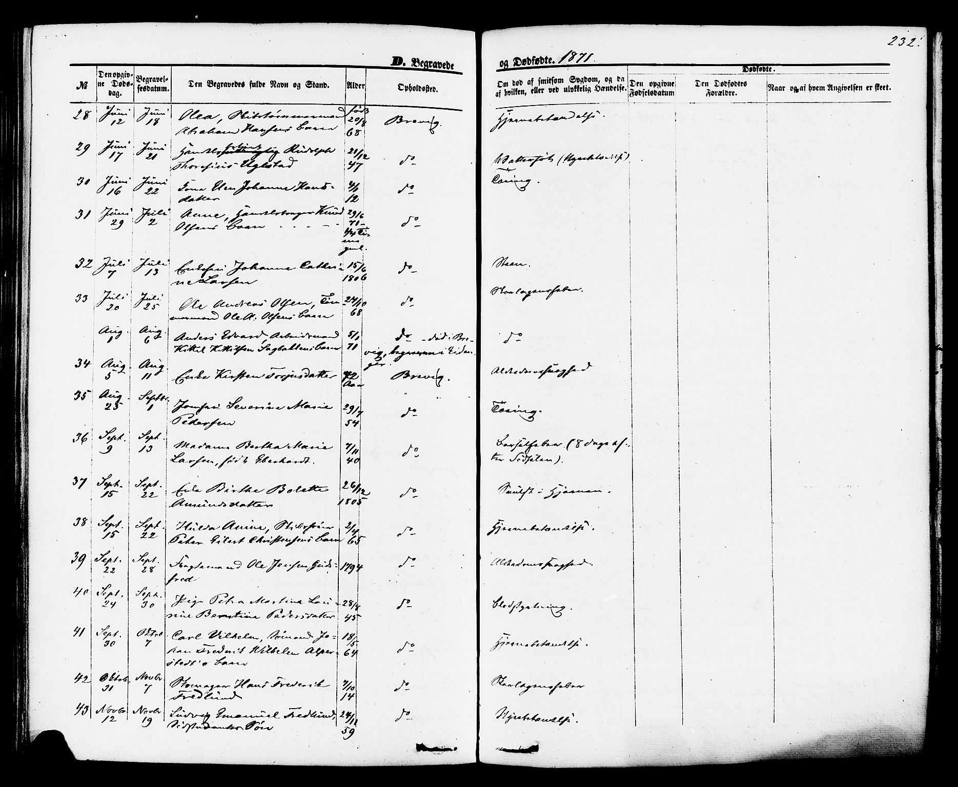 Brevik kirkebøker, AV/SAKO-A-255/F/Fa/L0006: Parish register (official) no. 6, 1866-1881, p. 232