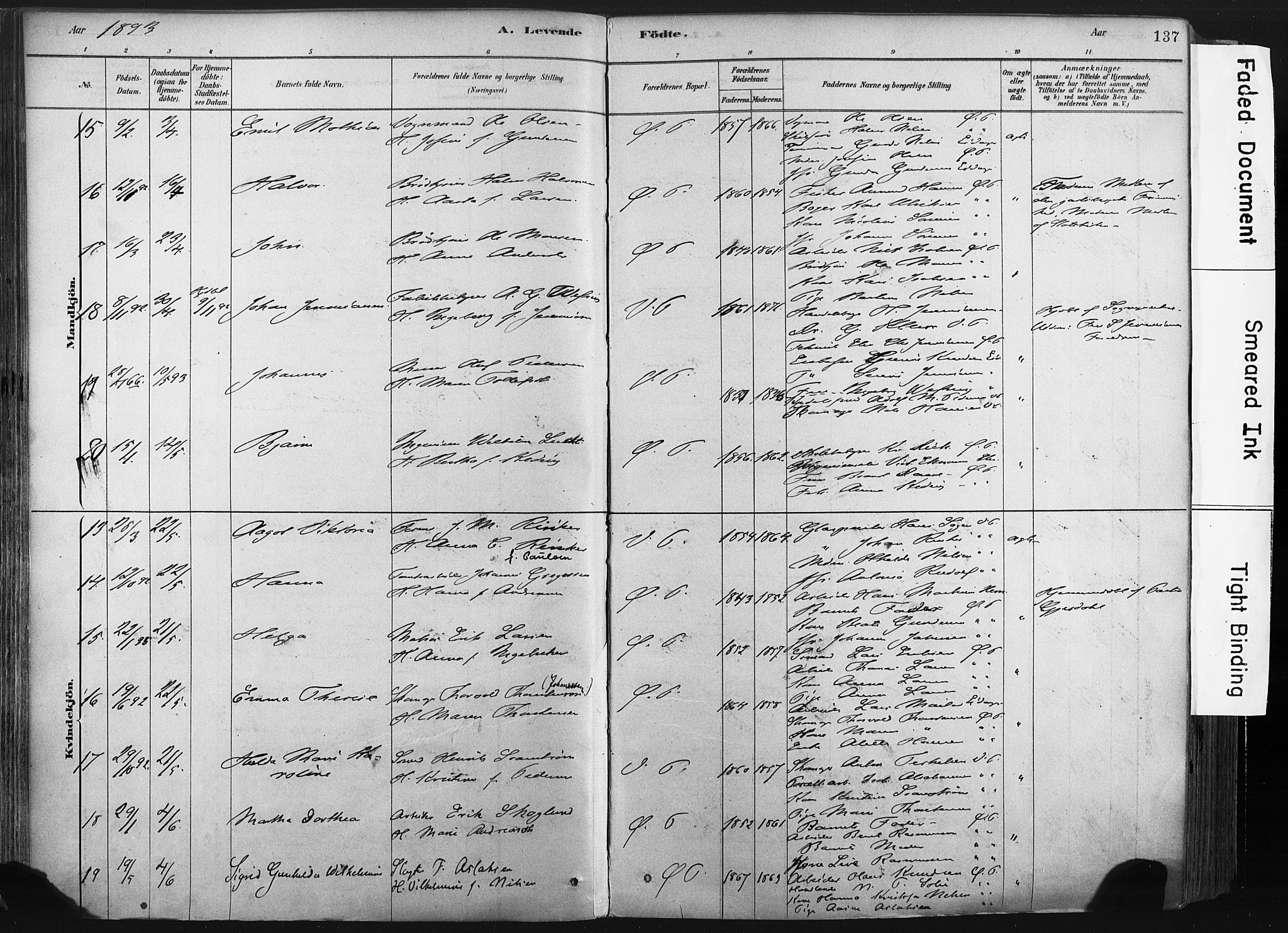 Porsgrunn kirkebøker , AV/SAKO-A-104/F/Fa/L0008: Parish register (official) no. 8, 1878-1895, p. 137