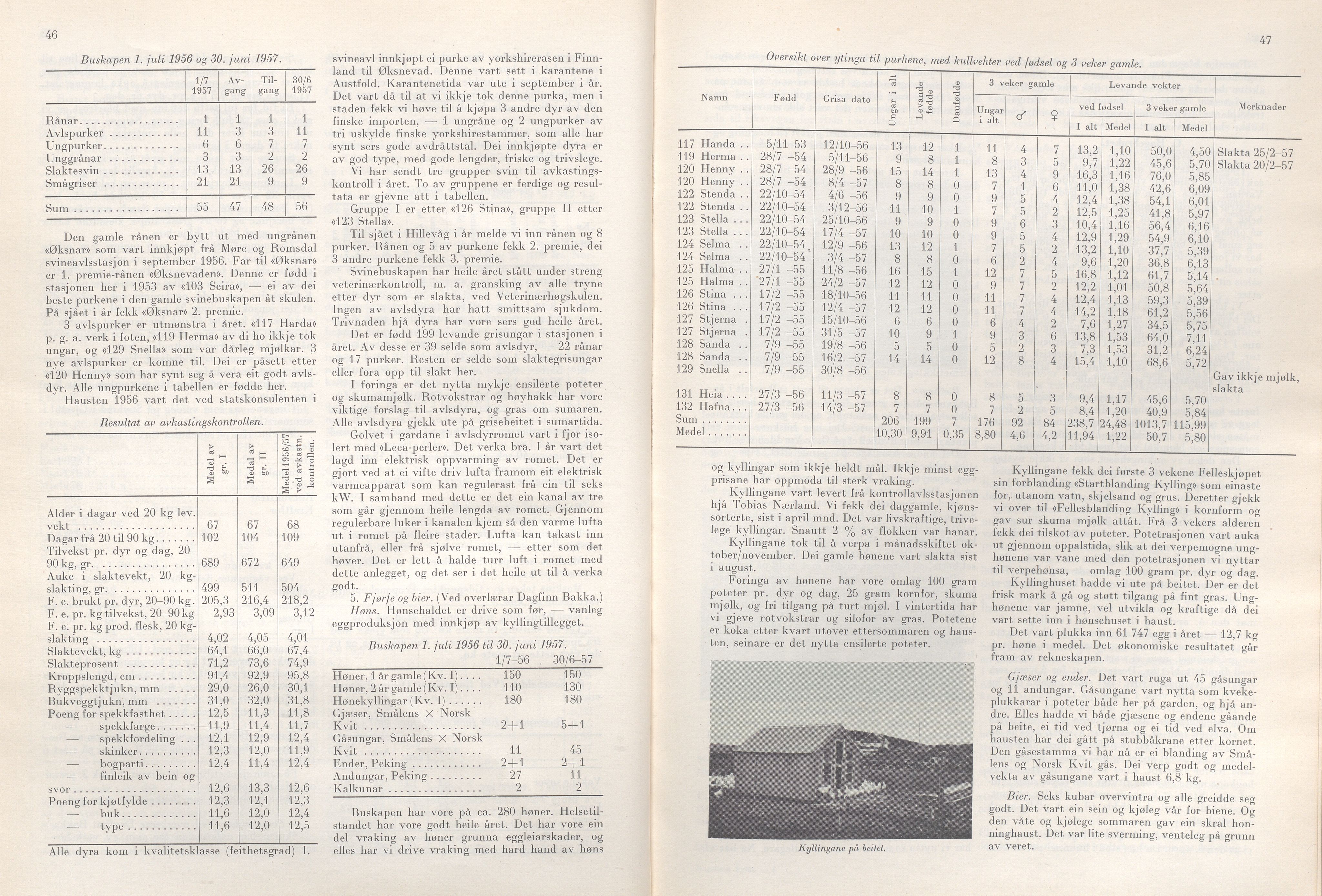 Rogaland fylkeskommune - Fylkesrådmannen , IKAR/A-900/A/Aa/Aaa/L0077: Møtebok , 1958, p. 46-47