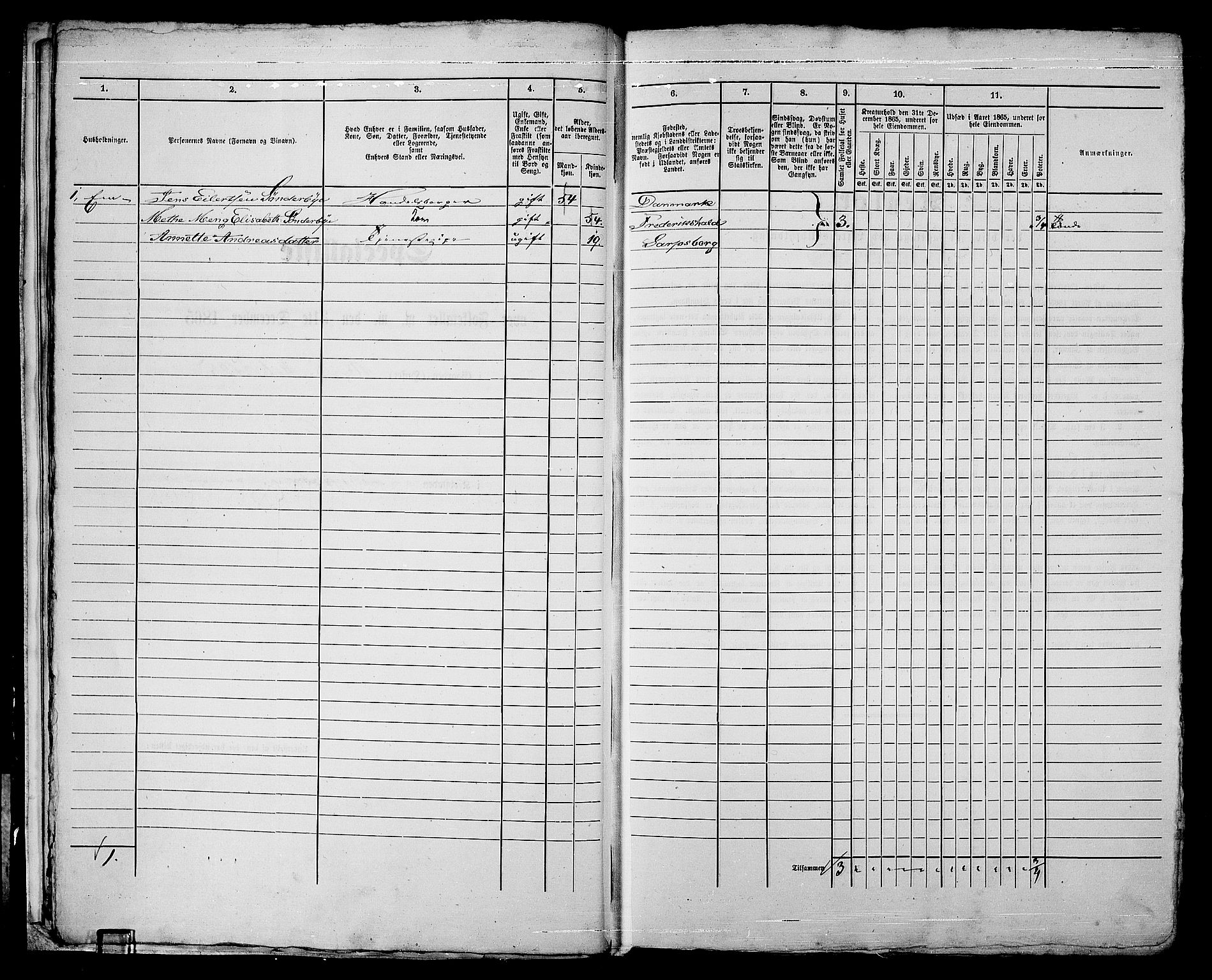 RA, 1865 census for Sarpsborg, 1865, p. 16