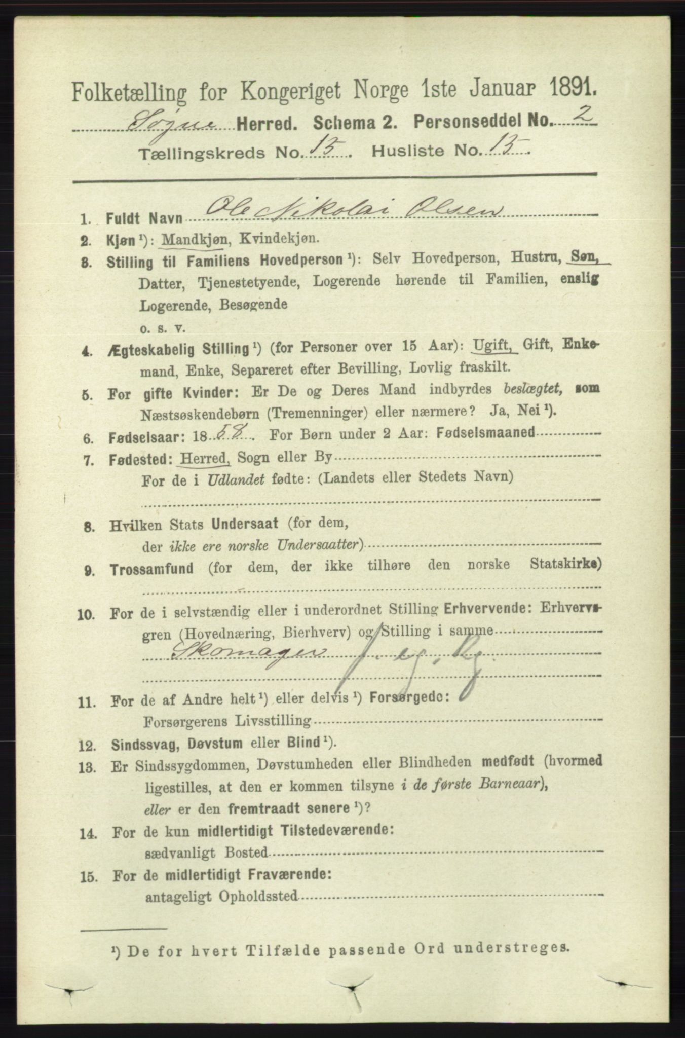 RA, 1891 census for 1018 Søgne, 1891, p. 3965