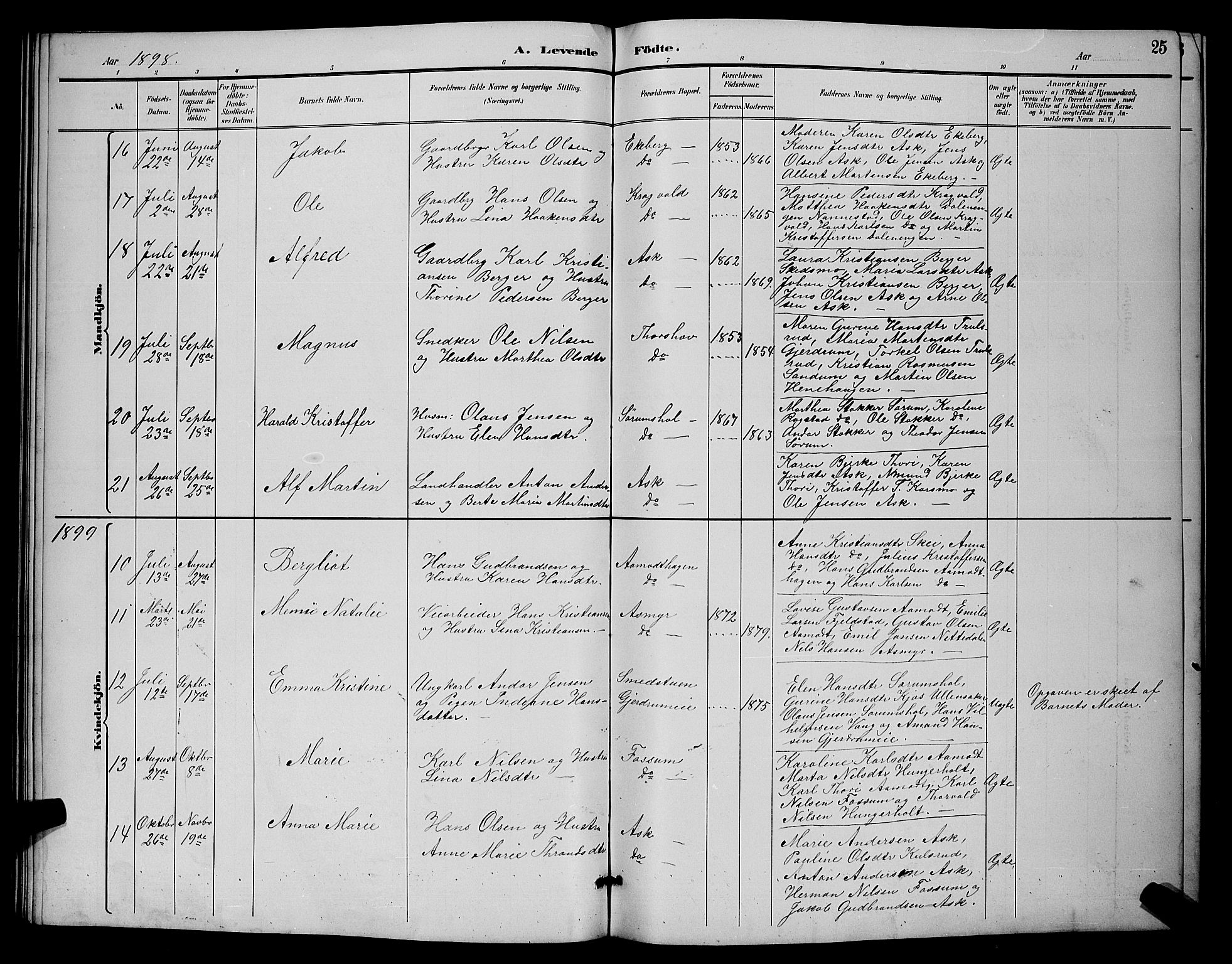 Gjerdrum prestekontor Kirkebøker, AV/SAO-A-10412b/G/Ga/L0005: Parish register (copy) no. I 5, 1891-1901, p. 25