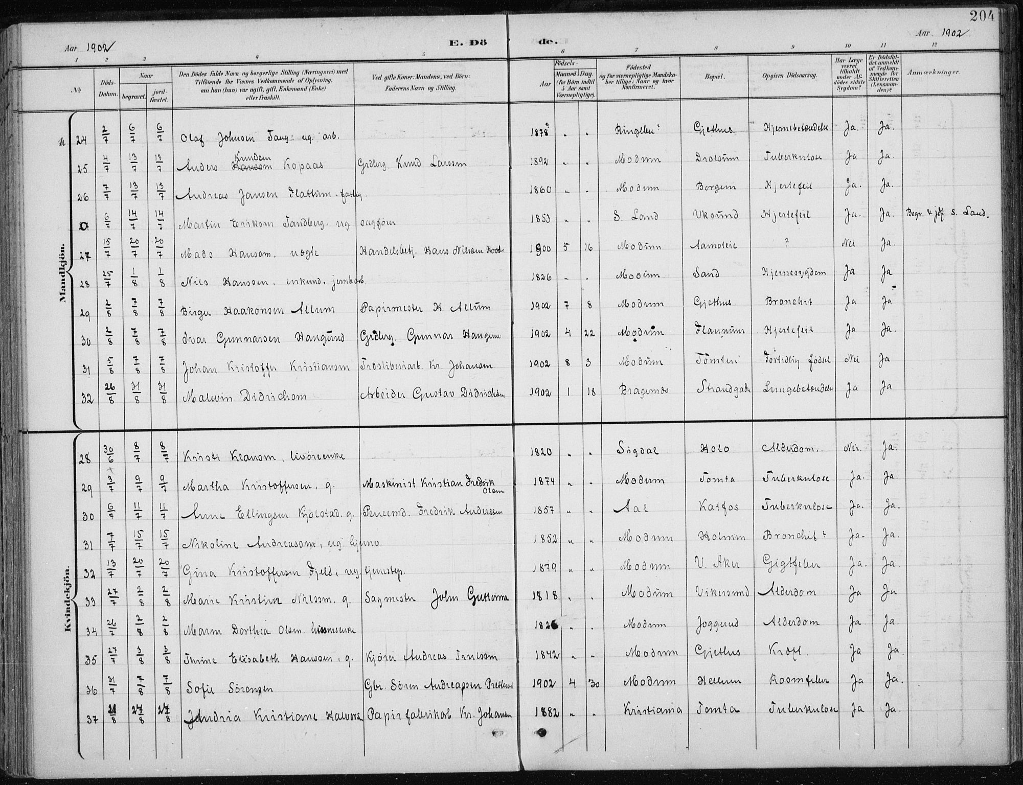 Modum kirkebøker, AV/SAKO-A-234/F/Fa/L0013: Parish register (official) no. 13, 1899-1907, p. 204