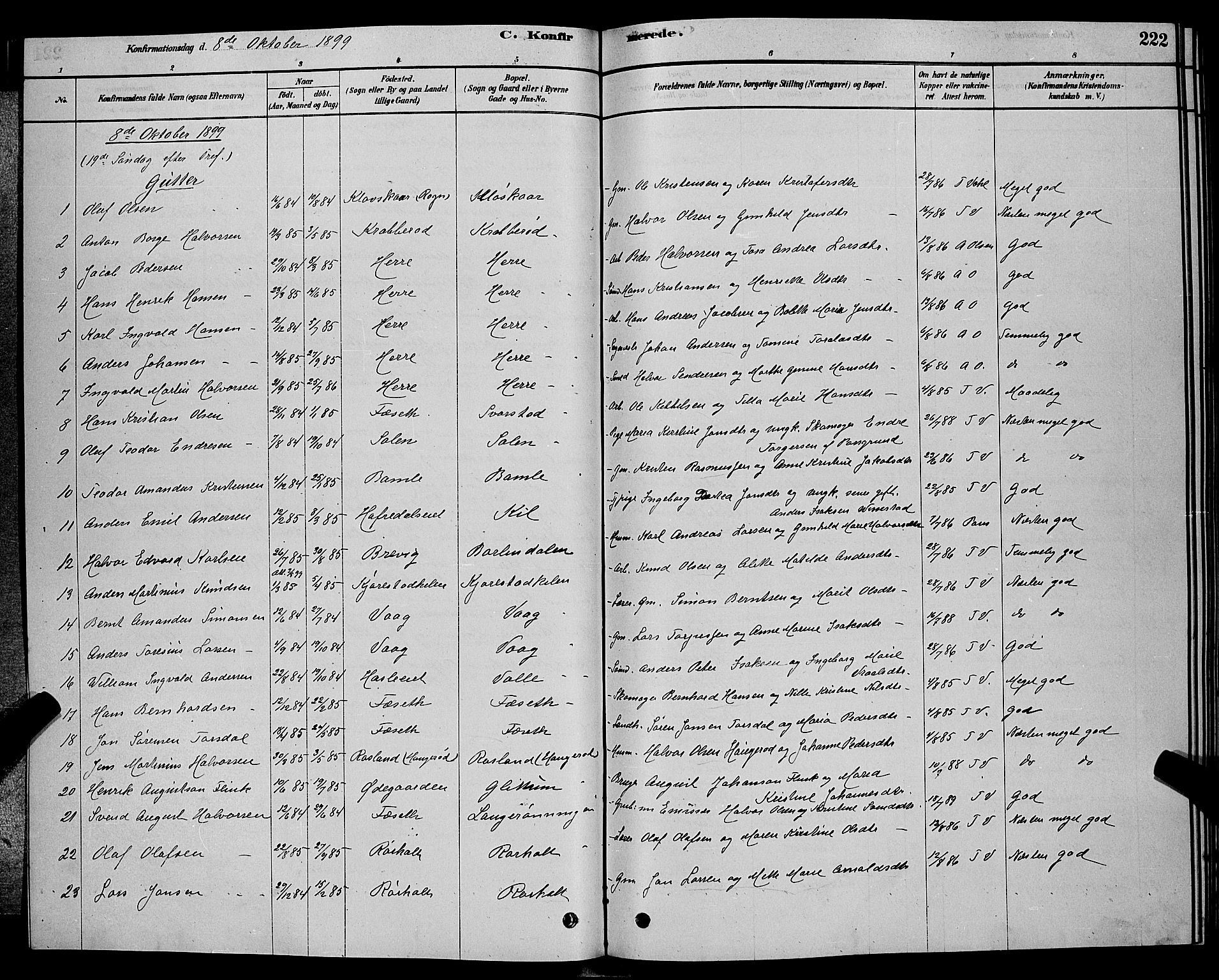 Bamble kirkebøker, AV/SAKO-A-253/G/Ga/L0008: Parish register (copy) no. I 8, 1878-1888, p. 222