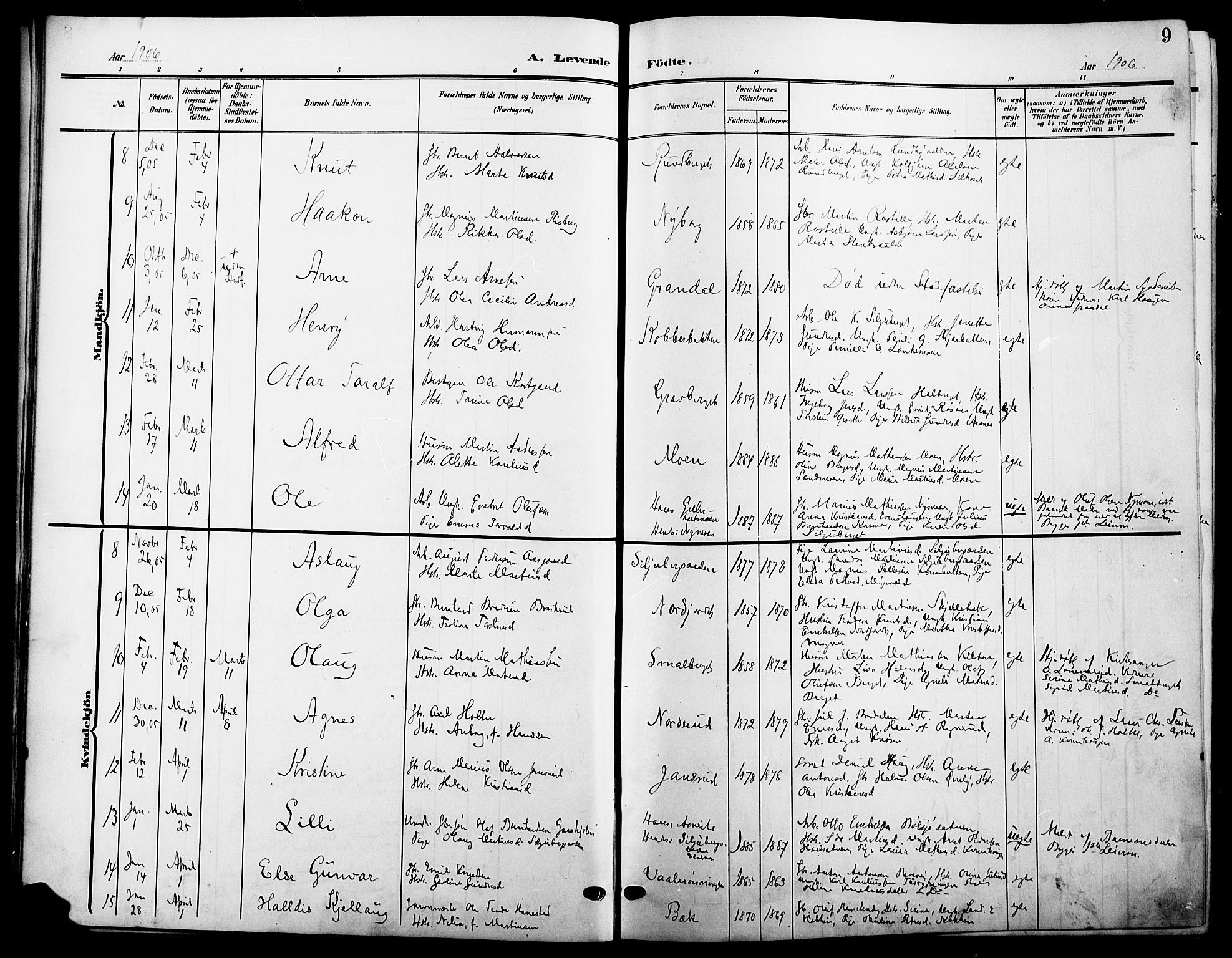 Våler prestekontor, Hedmark, AV/SAH-PREST-040/H/Ha/Hab/L0002: Parish register (copy) no. 2, 1905-1915, p. 9