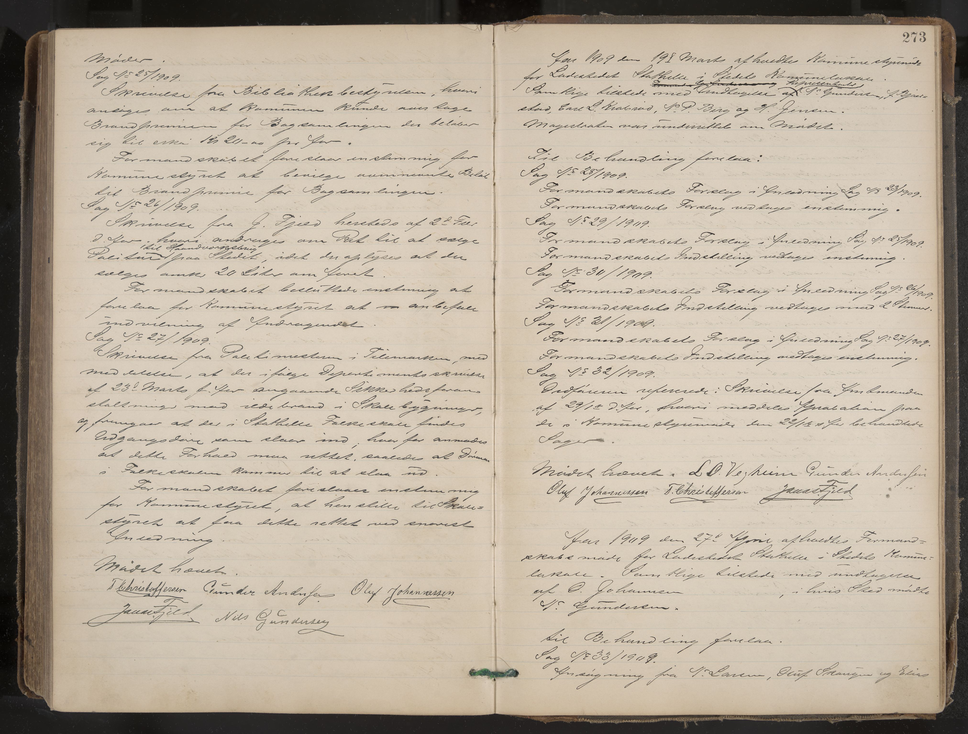 Stathelle formannskap og sentraladministrasjon, IKAK/0803021/A/L0002: Møtebok, 1892-1909, p. 273